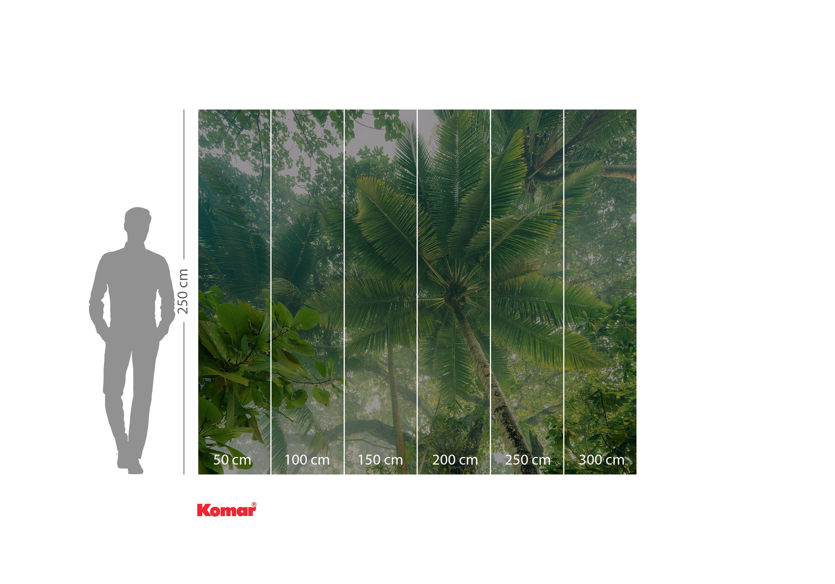 Komar Fotobehang Digitale print vlies - Climber Canopy - Afmeting 300 x 250 cm (1 stuk)
