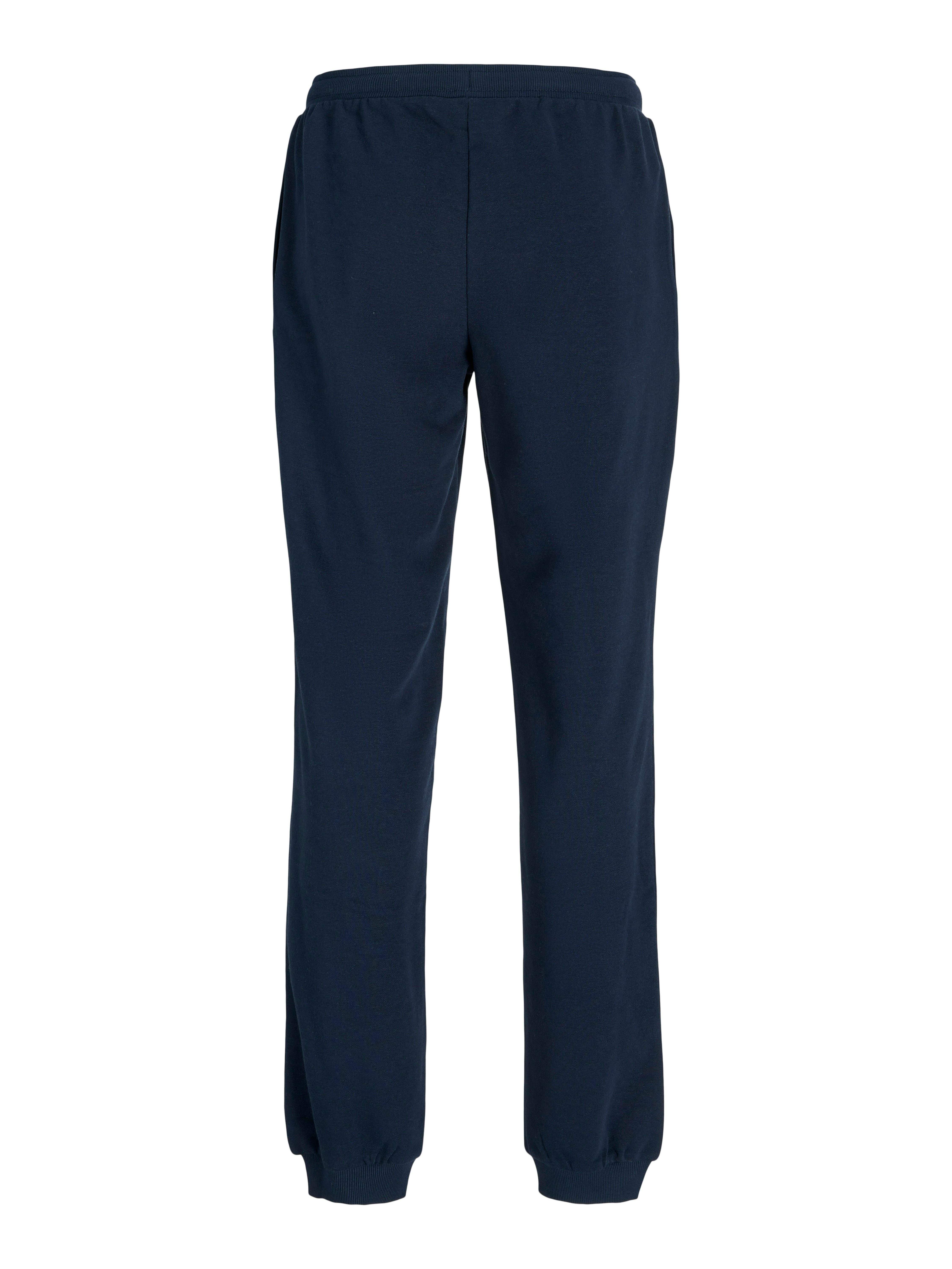 Jack & Jones Junior Sweatpants JPSTELOGO SWEATPANTS 2COL 25/26 NOOS JNR