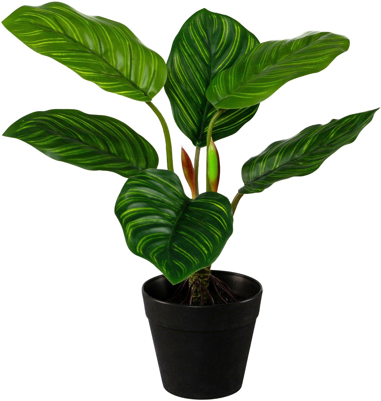 Creativ green Kunst-potplanten Set van groene planten (3 stuks)