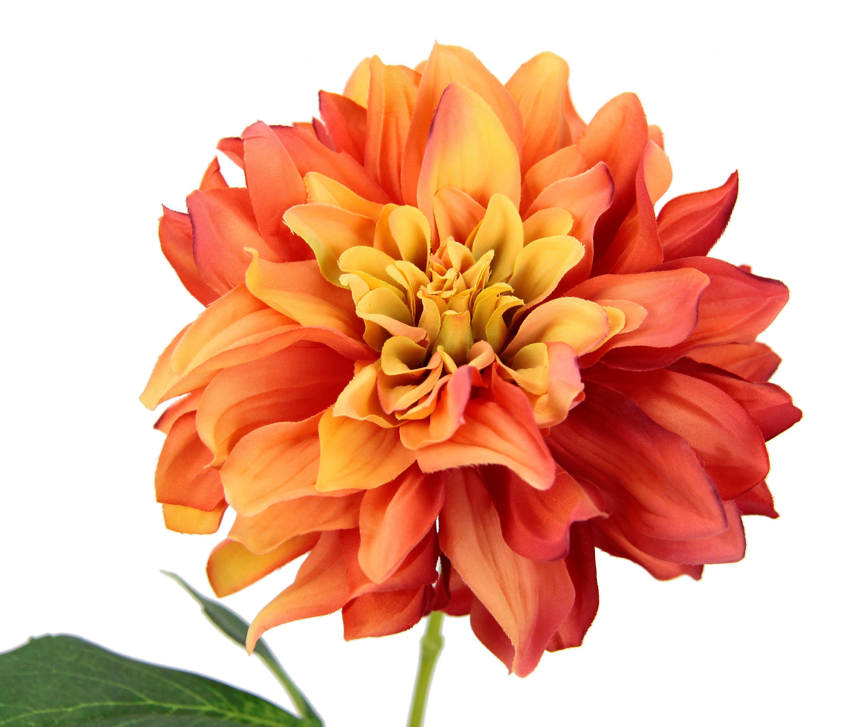I.GE.A. Kunstbloem Dahlia Enkele bloem, steelbloem, 3-delige set (3 stuks)