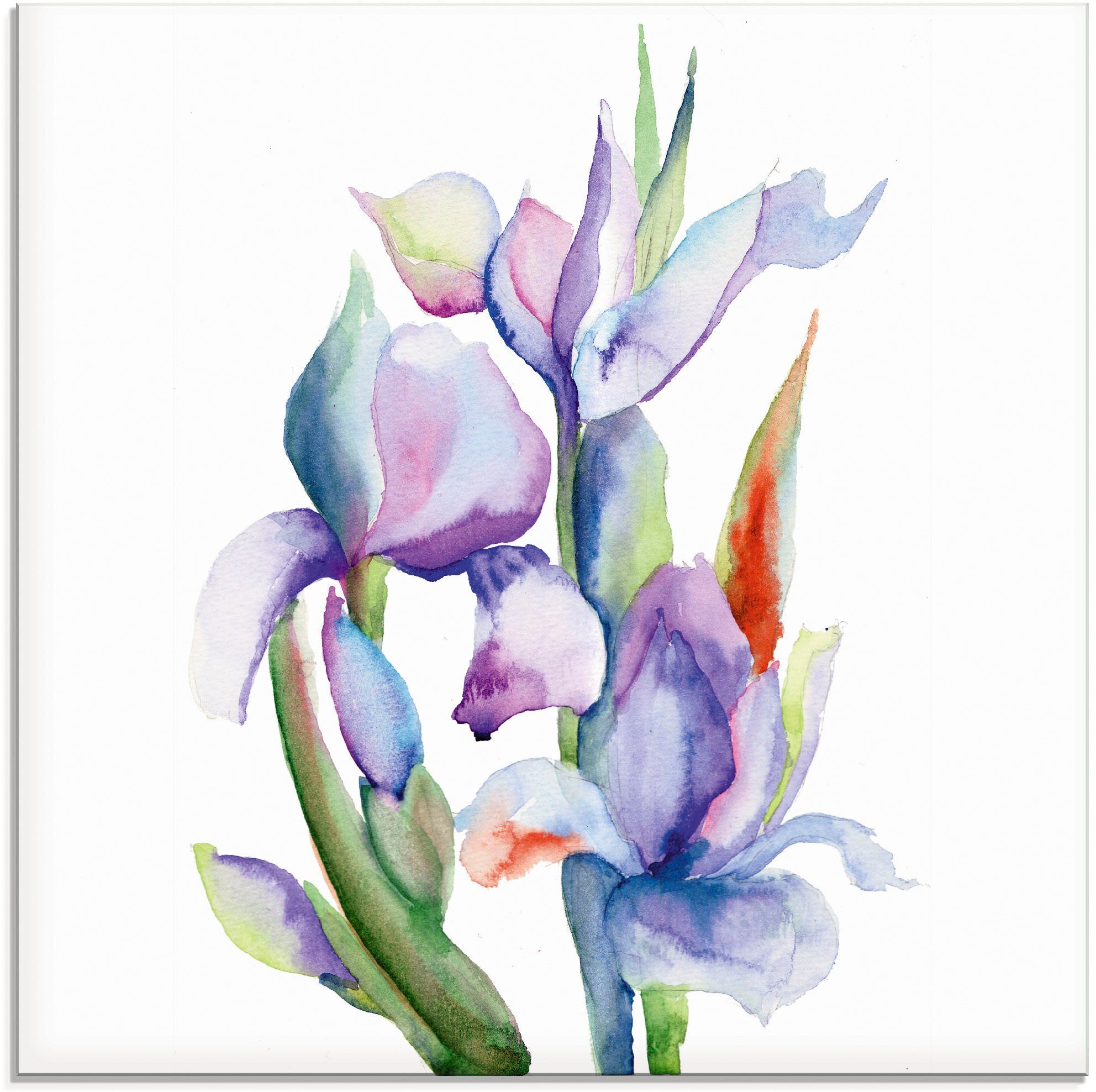 Artland Print op glas Iris (1 stuk)
