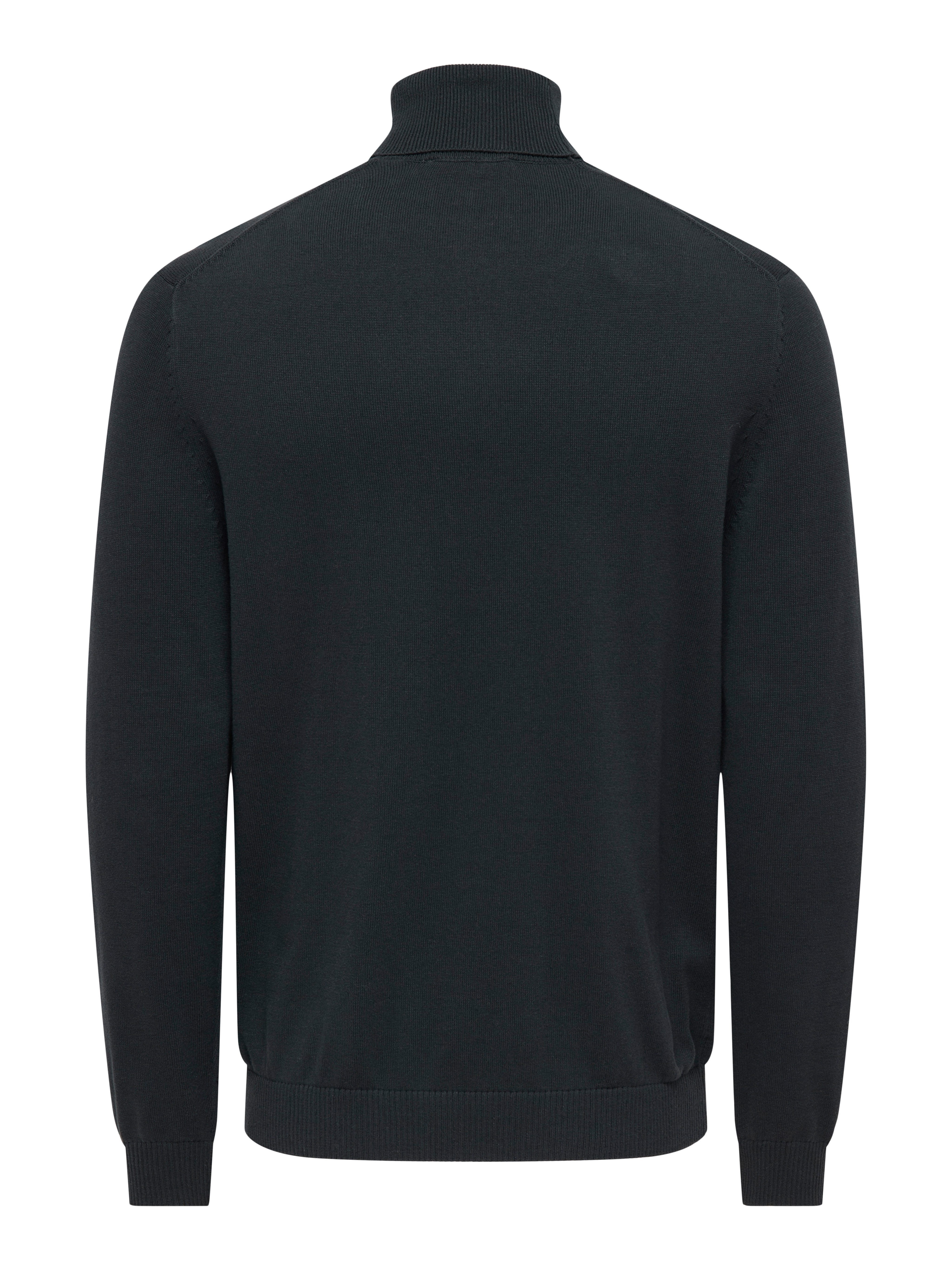 ONLY & SONS Coltrui ONSHOLGER REG ROLL NECK KNIT - OTL