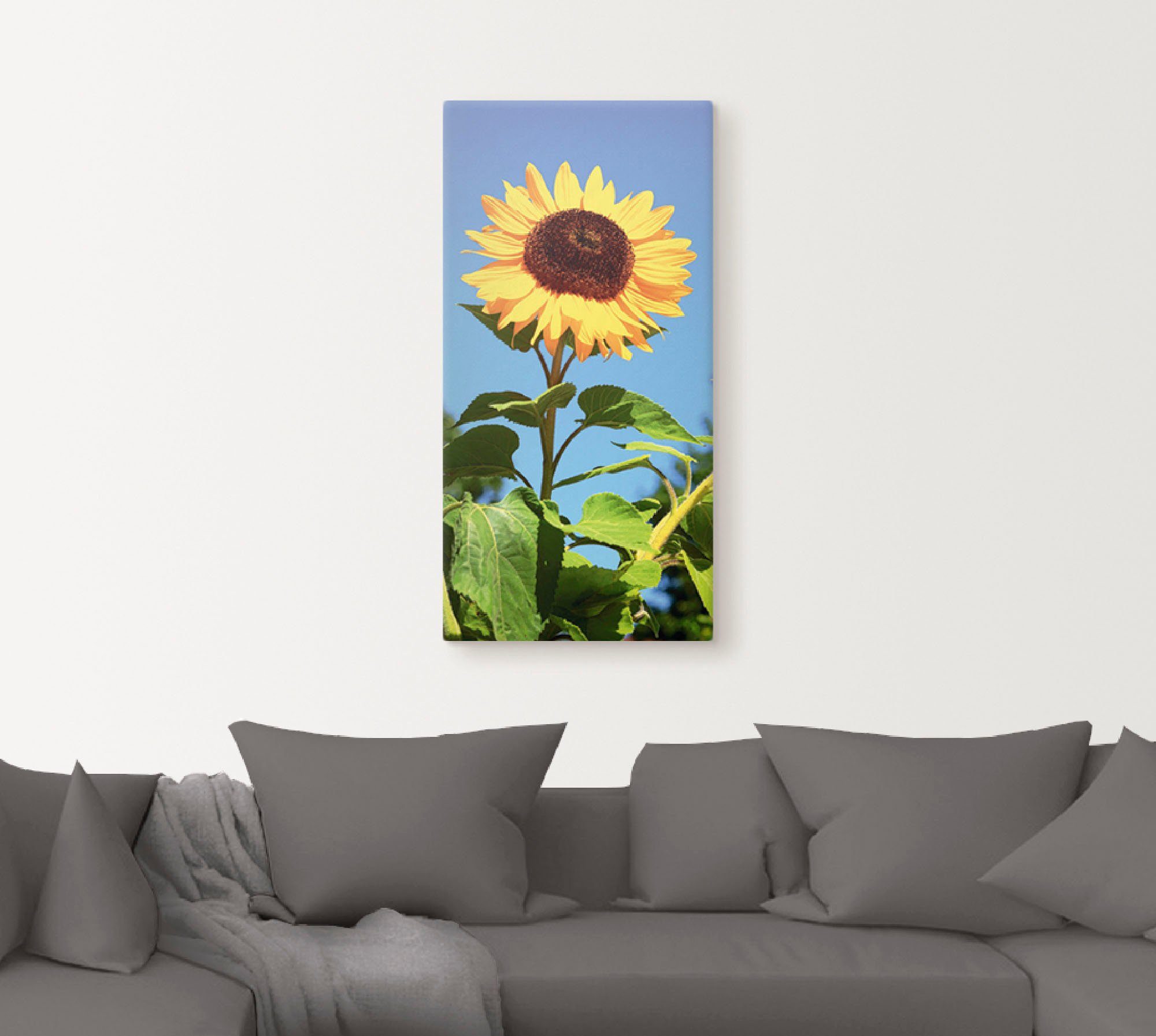 Artland Artprint Zonnebloem als artprint van aluminium, artprint voor buiten, artprint op linnen, poster in verschillende maten. maten