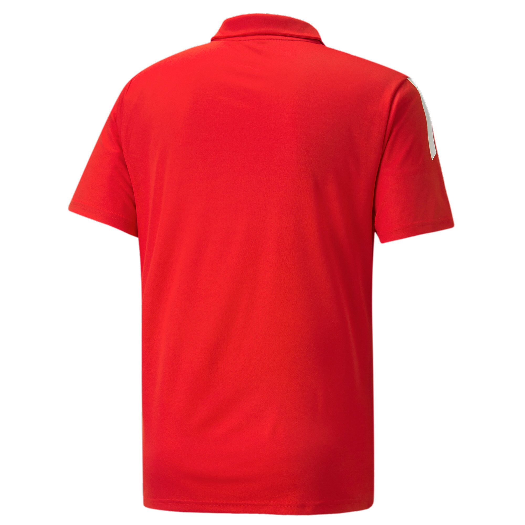 PUMA Poloshirt TEAMLIGA SIDELINE POLO