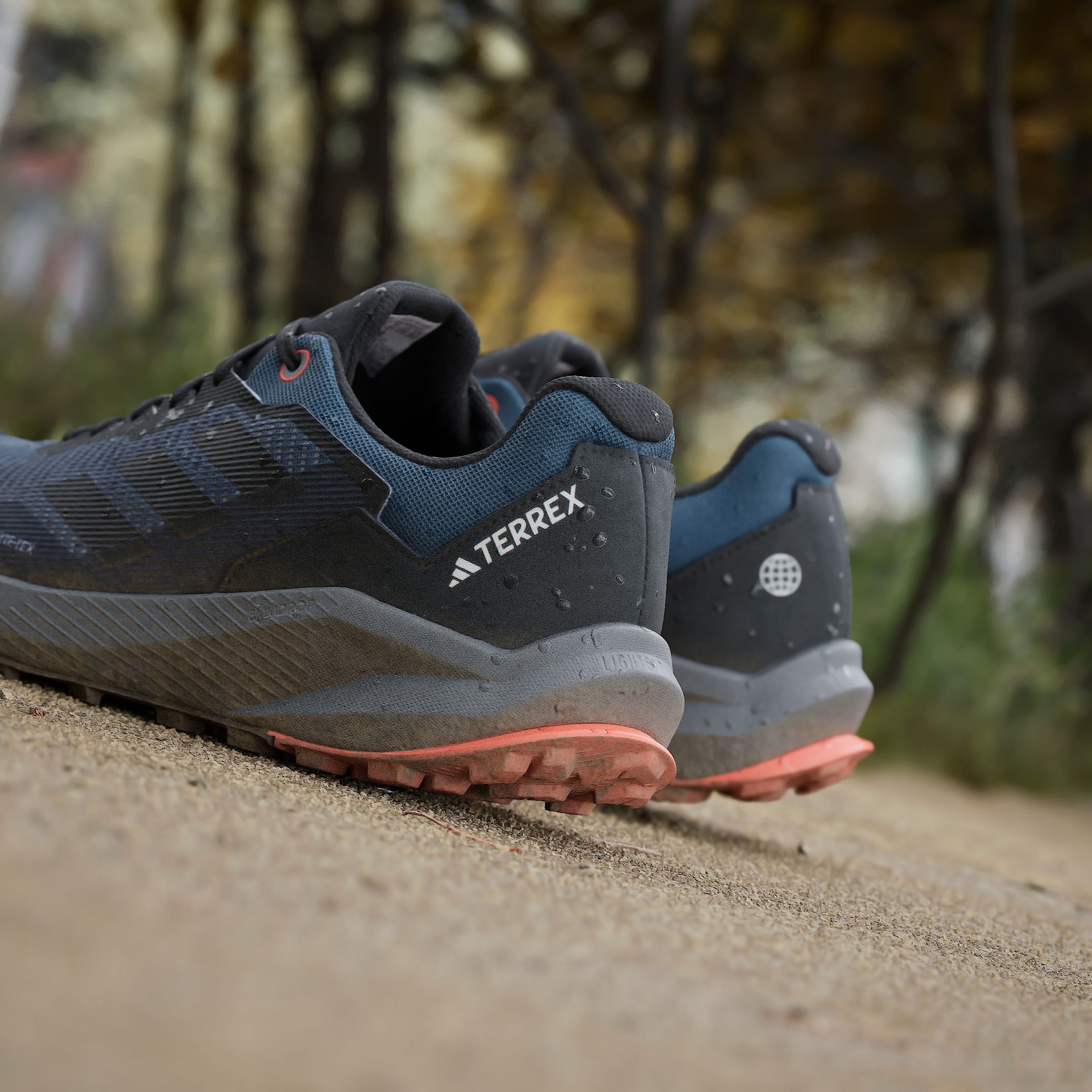 adidas TERREX Trailrunningschoenen TRAIL RIDER GORE-TEX TRAILRUNNING