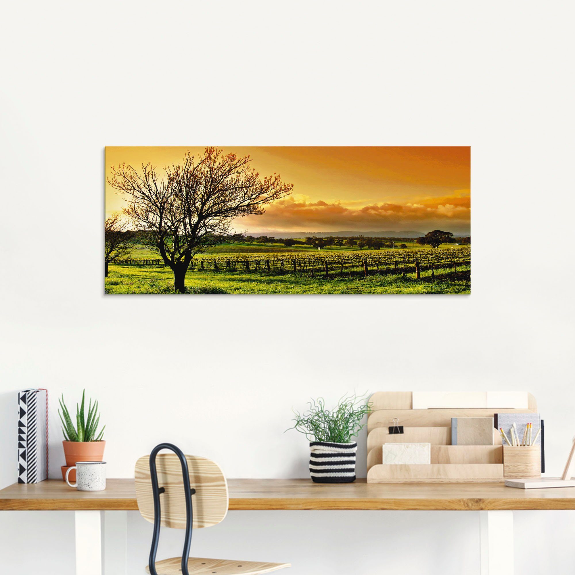 Artland Print op glas Landschap met wijnbergen