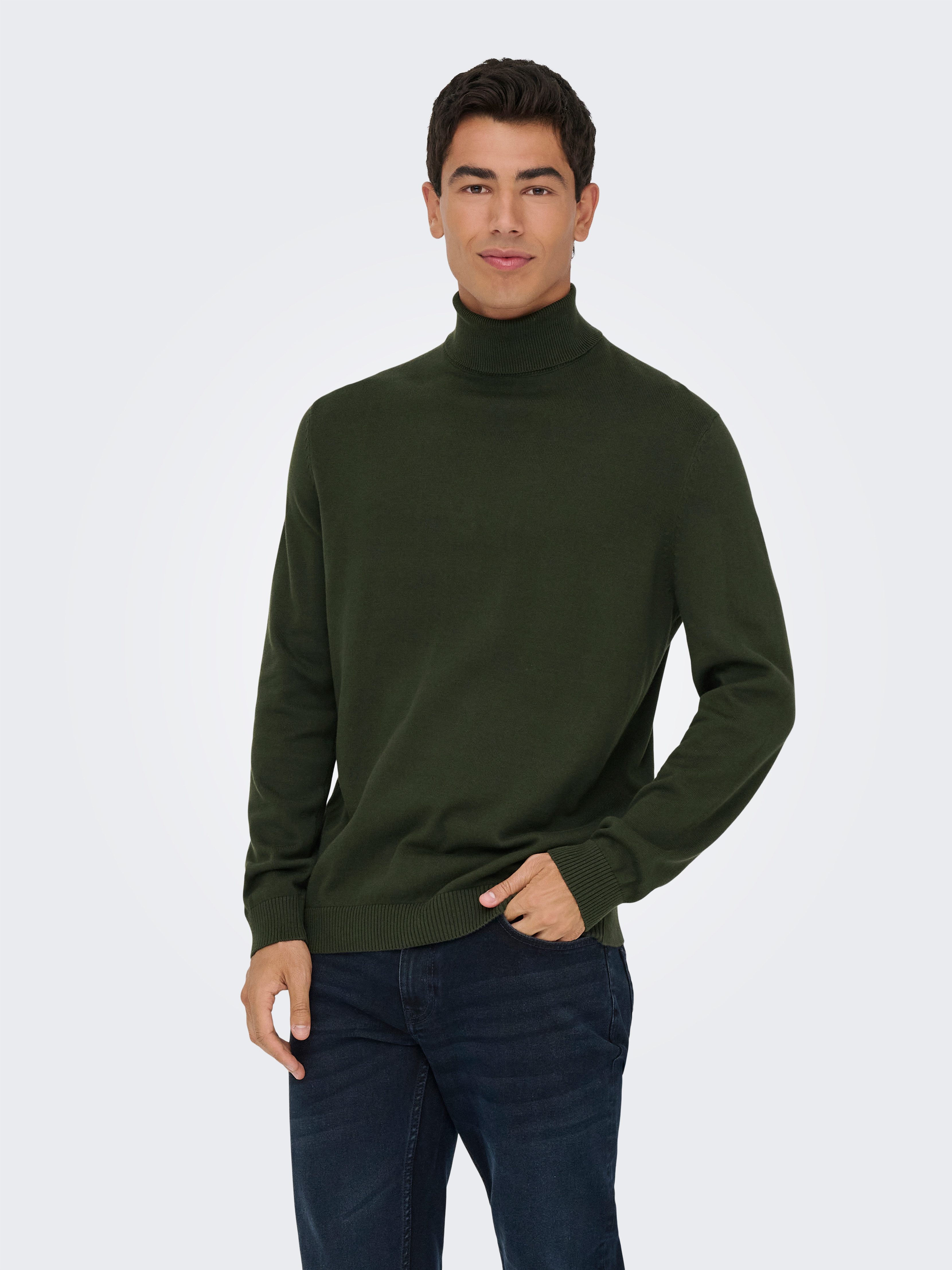 ONLY & SONS Coltrui ONSHOLGER REG ROLL NECK KNIT - OTL