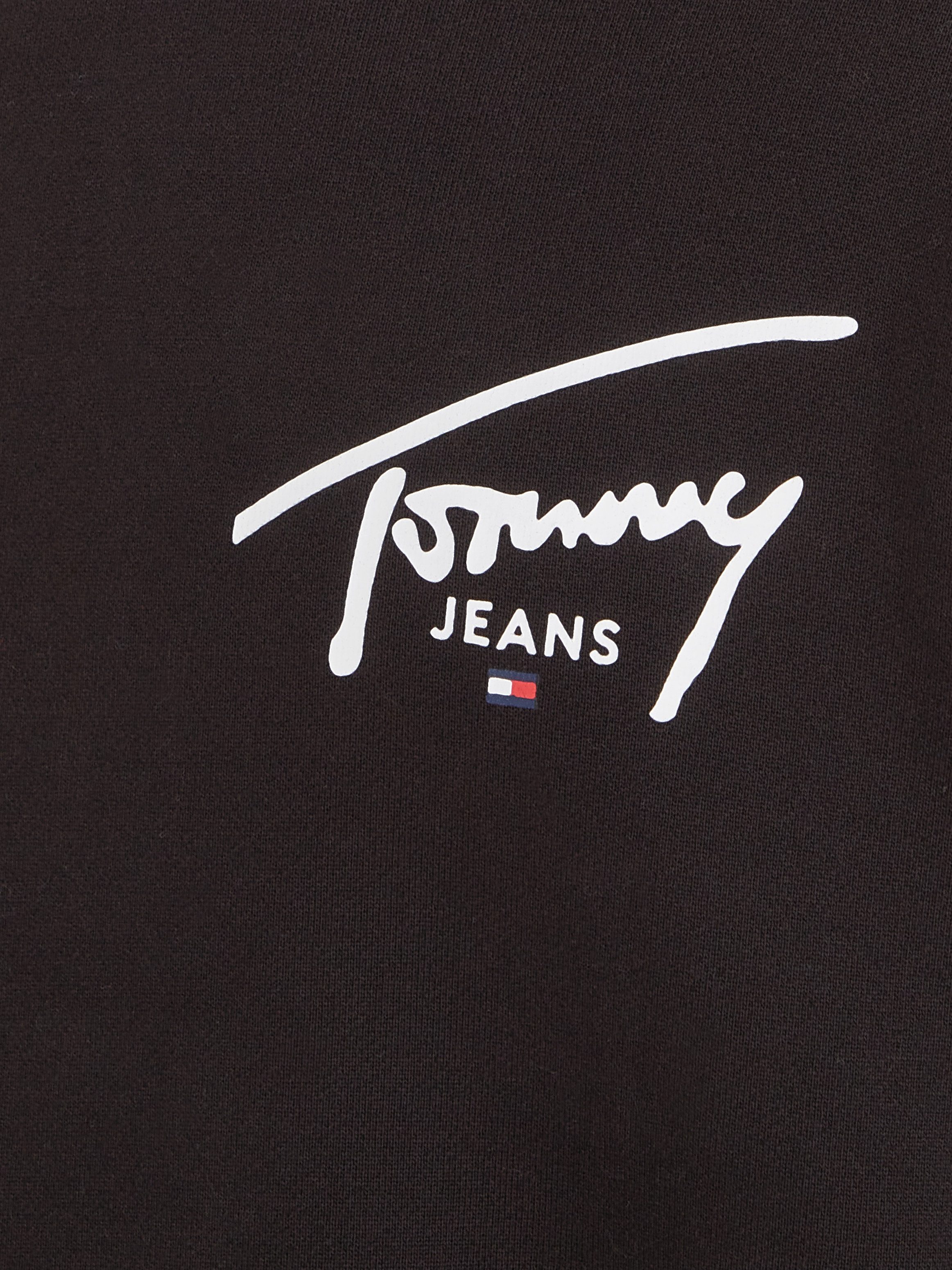 Tommy Jeans Plus Sweater TJM REG ENTRY GRAPHIC CREW EXT Grote maten met logo-inscriptie