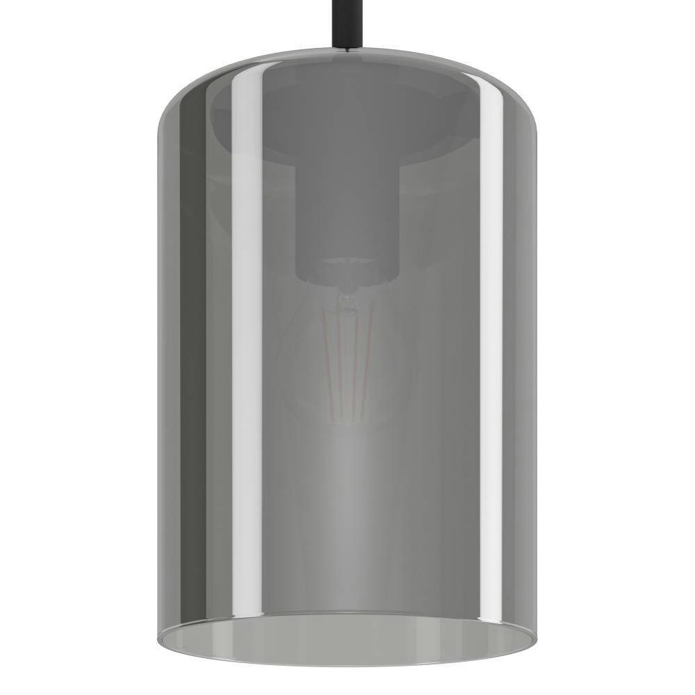 EGLO Hanglamp CADAQUES 1 hanglamp, zwart, rookglas, hanglamp, excl. E27 (1 stuk)