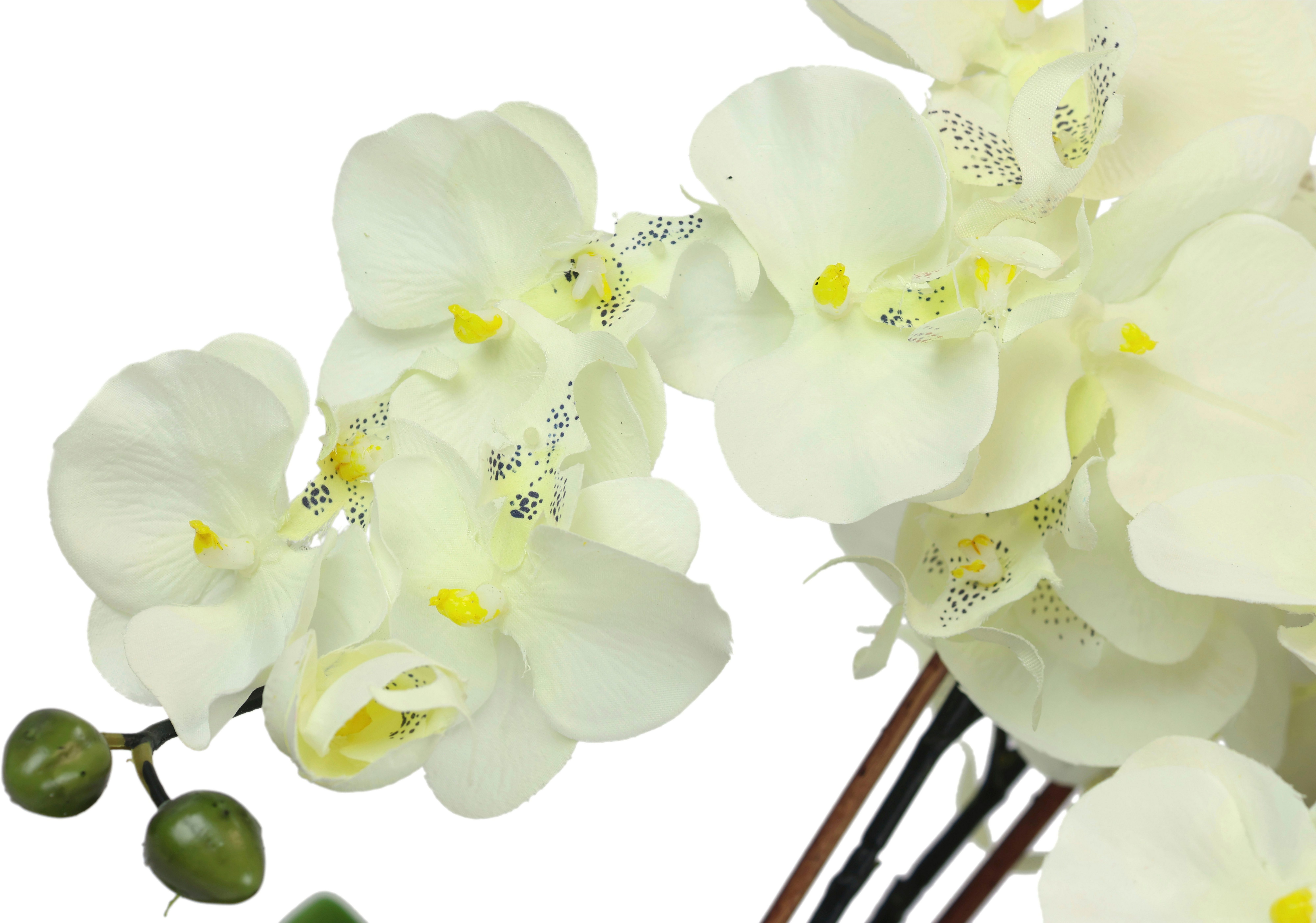 I.GE.A. Kunstbloem Kunstmatige orchidee in schaal phalaenopsis kunstbloem (1 stuk)