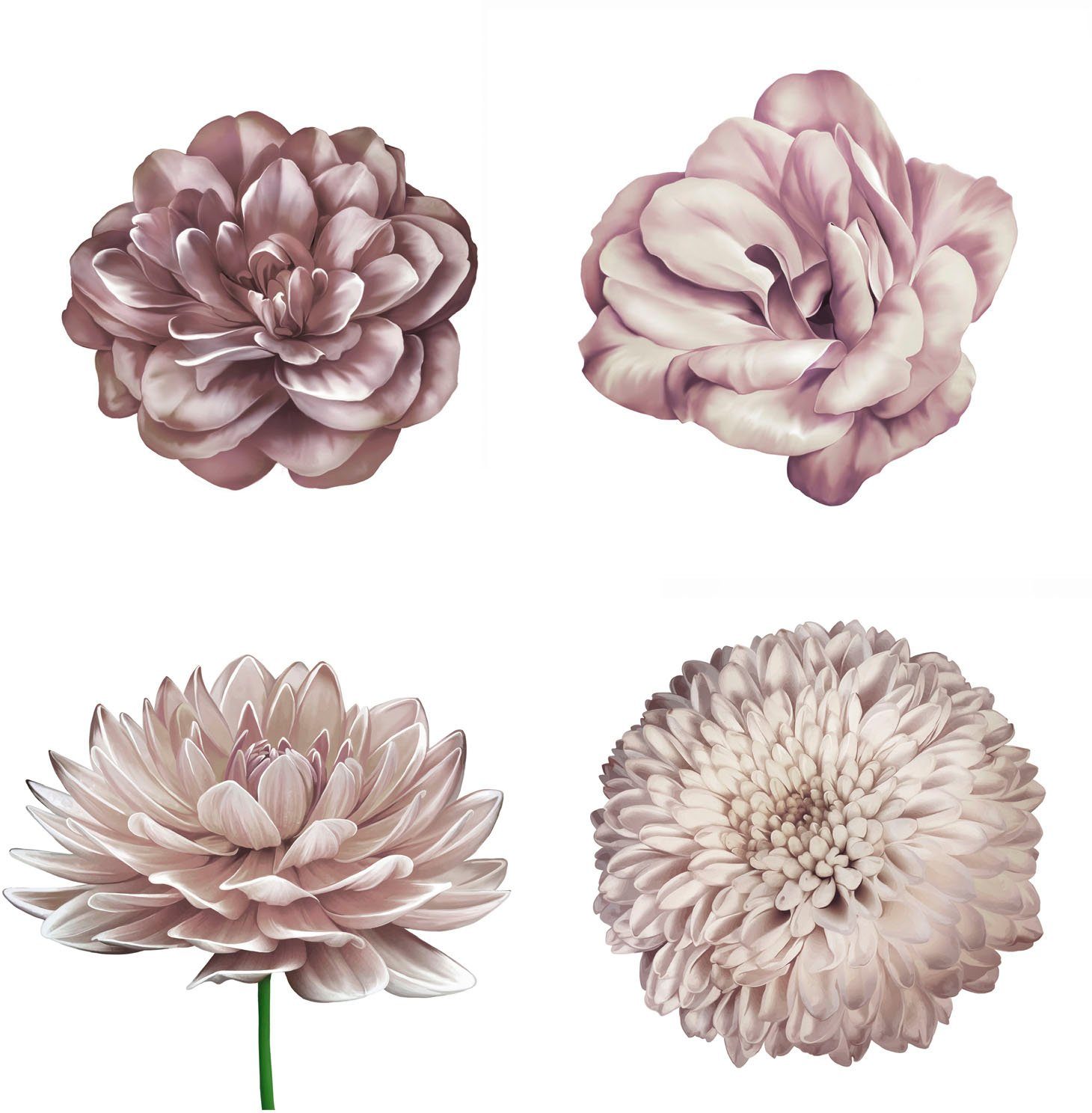 queence Wandfolie Mila Muurdecoratie, sticker, roze, bloem, bloei, zelfklevend (1 stuk) wandstickers maat 90 cm x 90 cm roze
