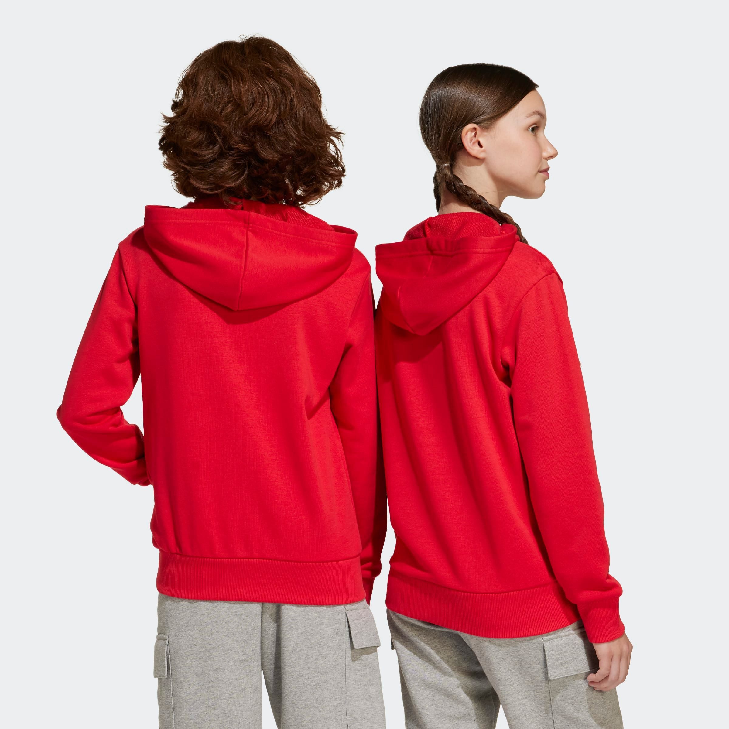 adidas Sportswear Hoodie J BL FT HD 280