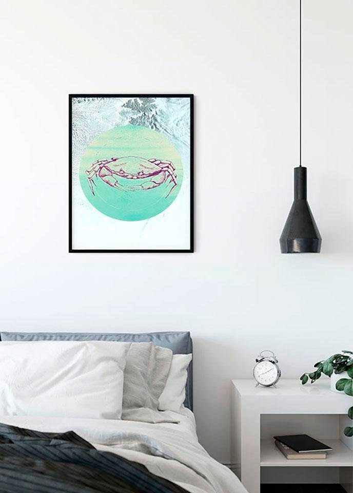 Komar Wanddecoratie Crab Sea Wanddecoratie - zonder lijst (1 stuk)
