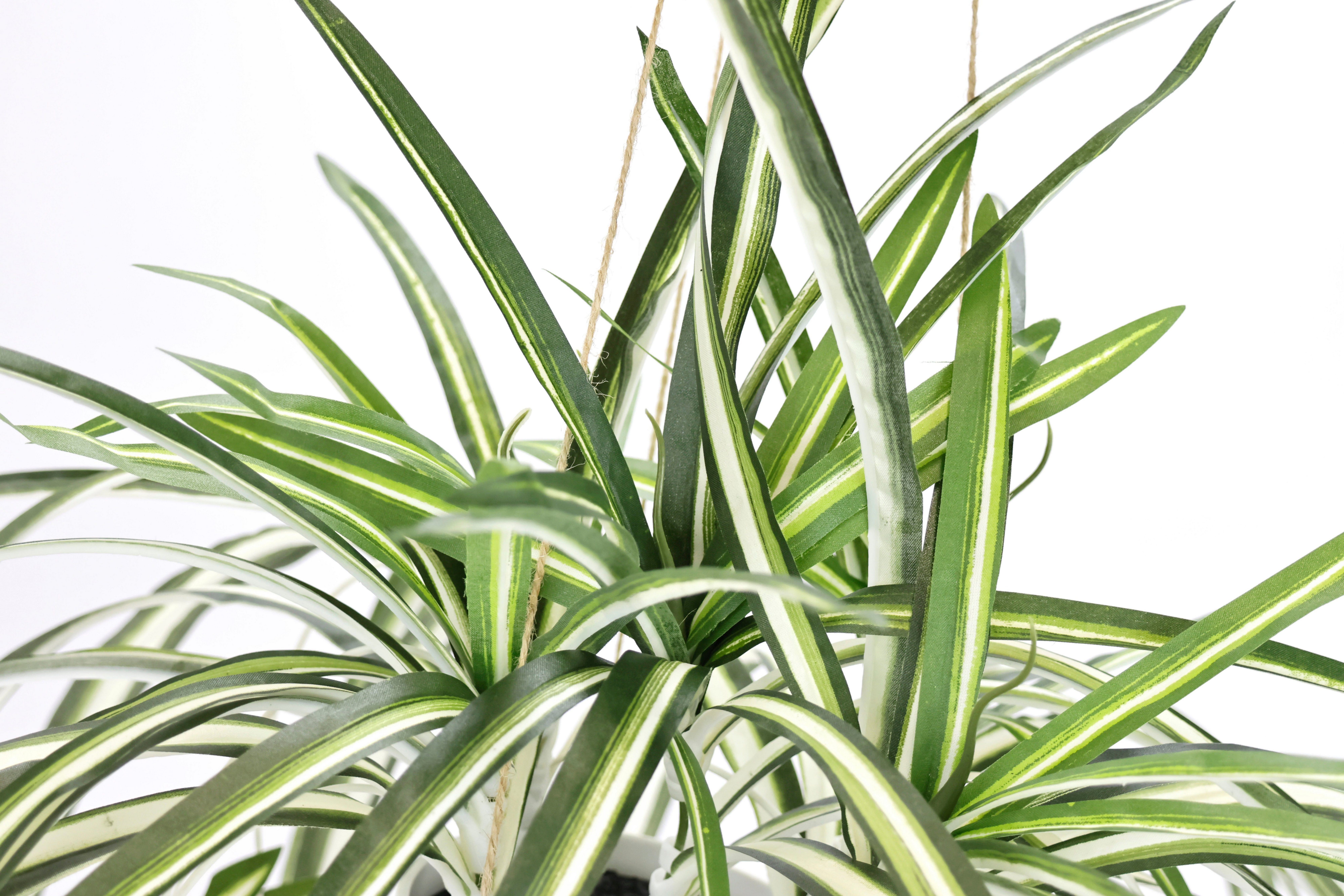 my home Kunstplant Groen/lelie Met plantenhanger, kunstmatige waterlelie (1 stuk)