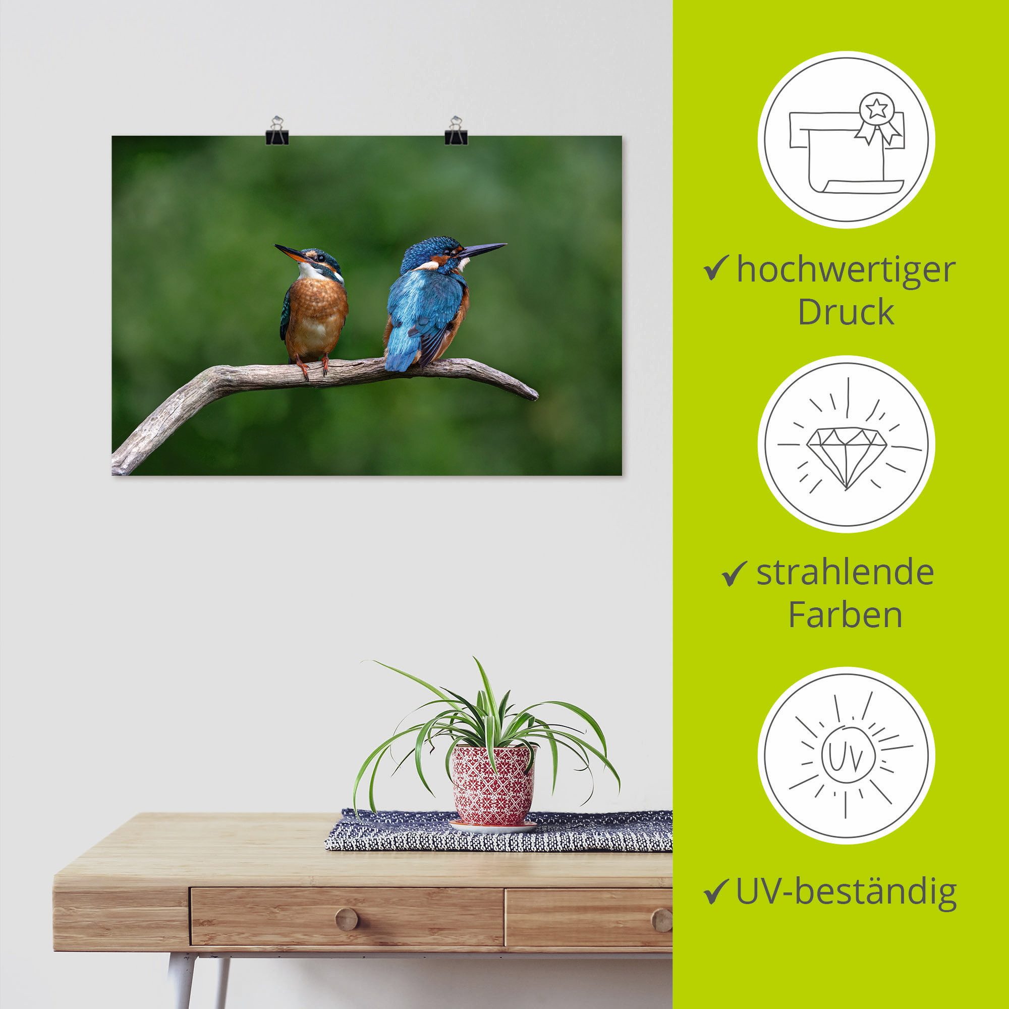 Artland Artprint Twee ijsvogels als artprint van aluminium, artprint voor buiten, poster in diverse formaten