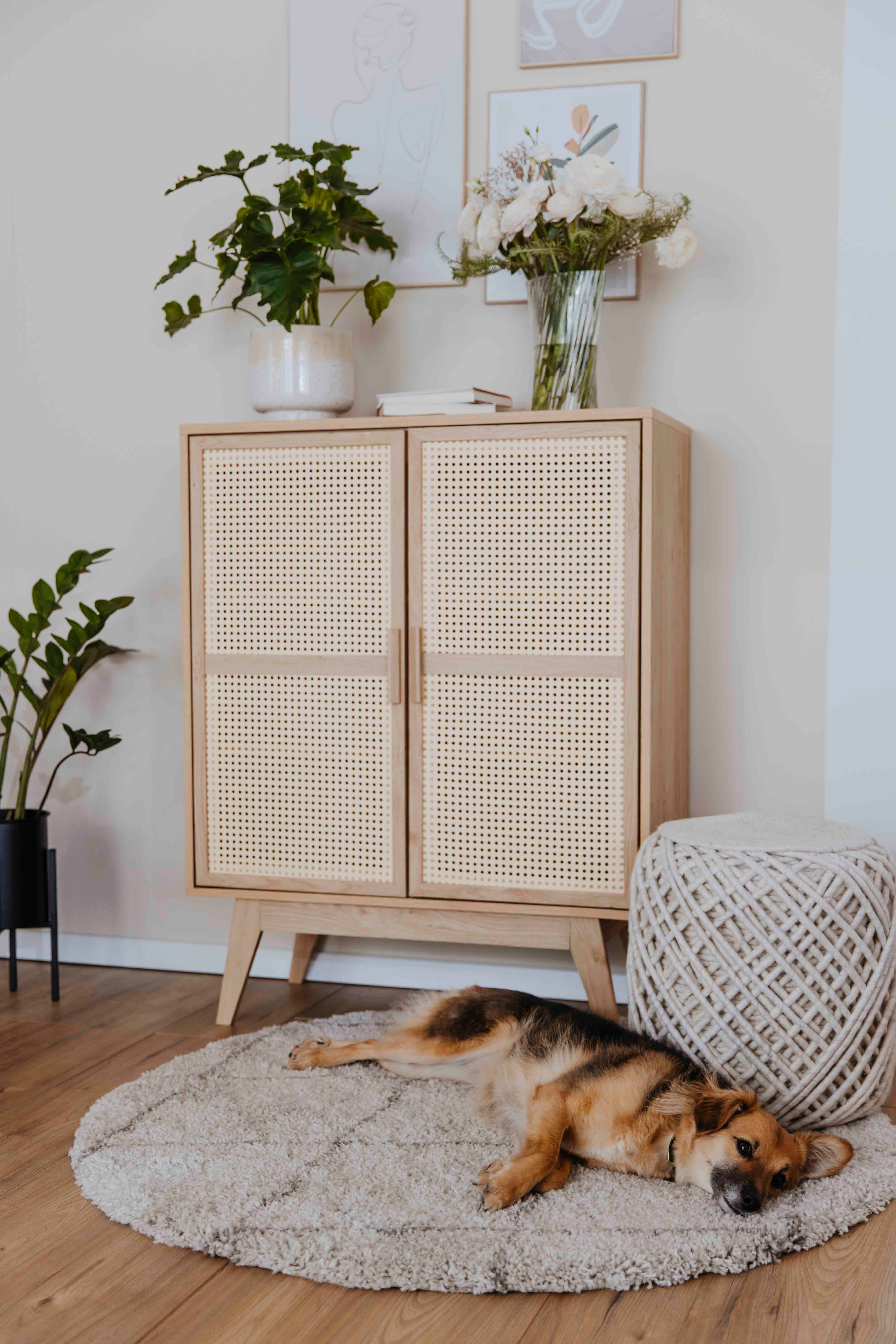 Home affaire Kast Bridget Commode, vaste en verstelbare planken, breedte 87cm, hoogte 110cm