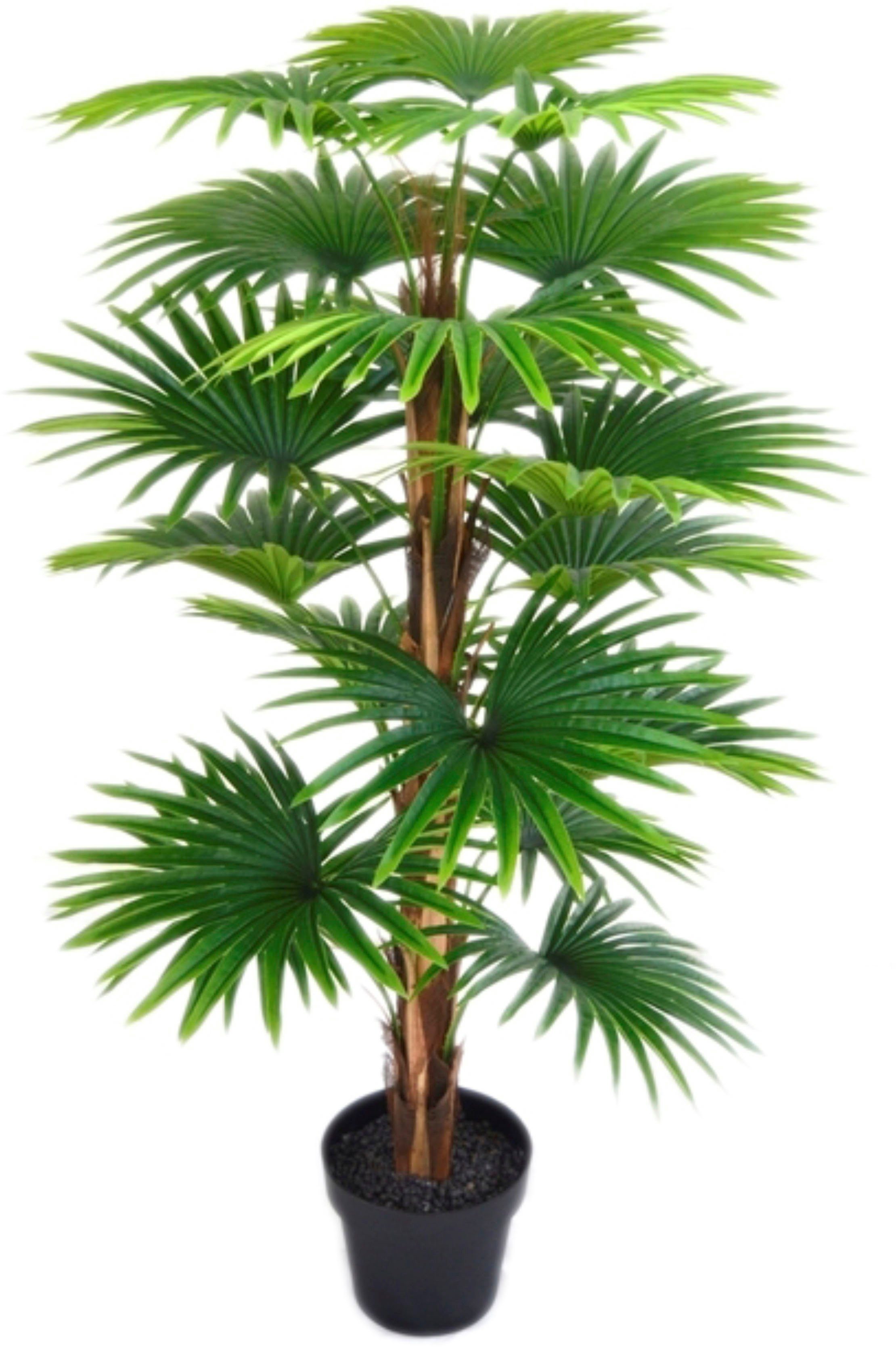 I.GE.A. Kunstpalm Waaierpalm in een plastic pot (1 stuk)