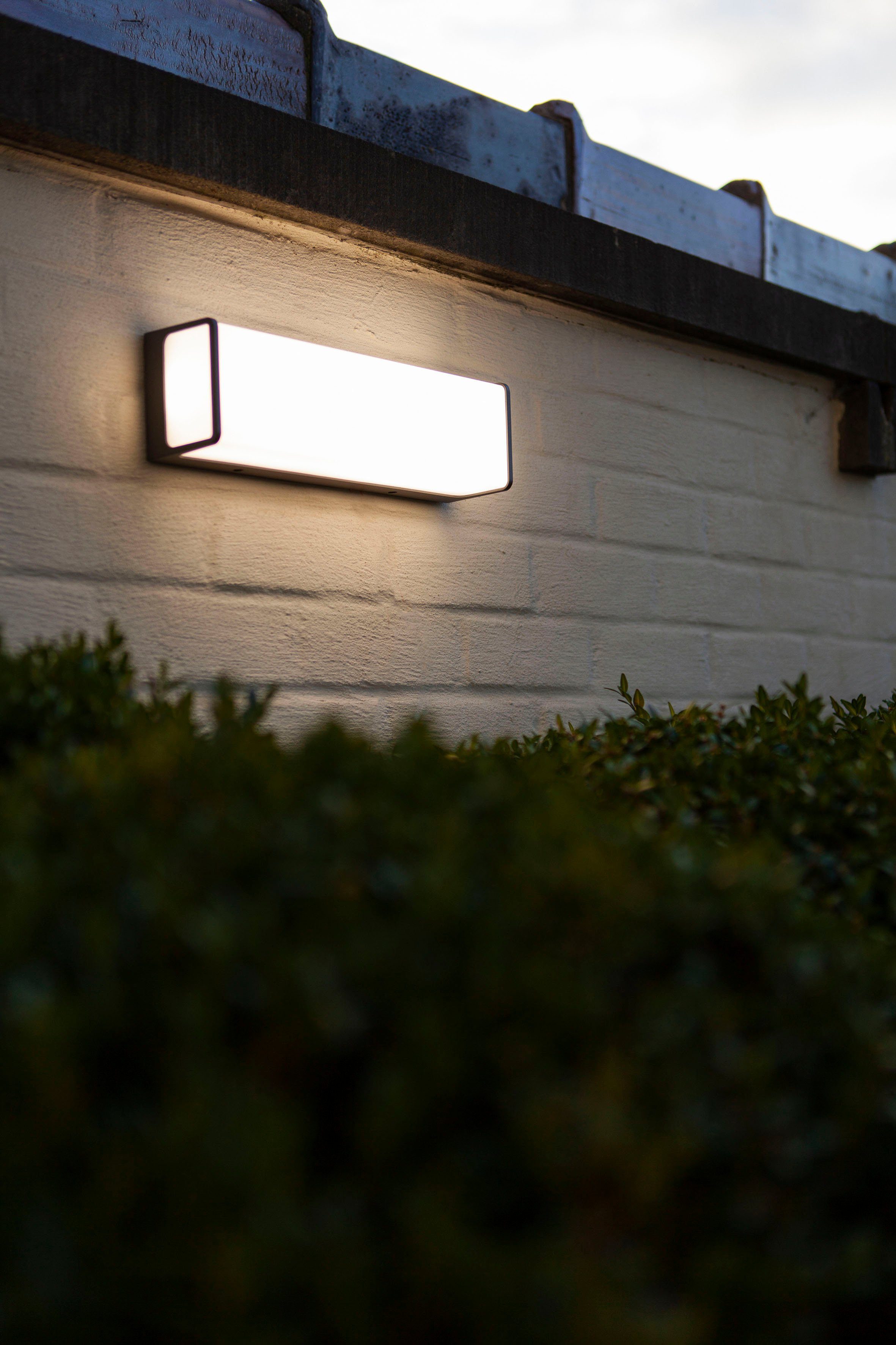 LUTEC Ledwandlamp voor buiten DOBLO (1 stuk)