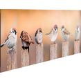 reinders! artprint op hout decoratief paneel 30x90 bird family bruin