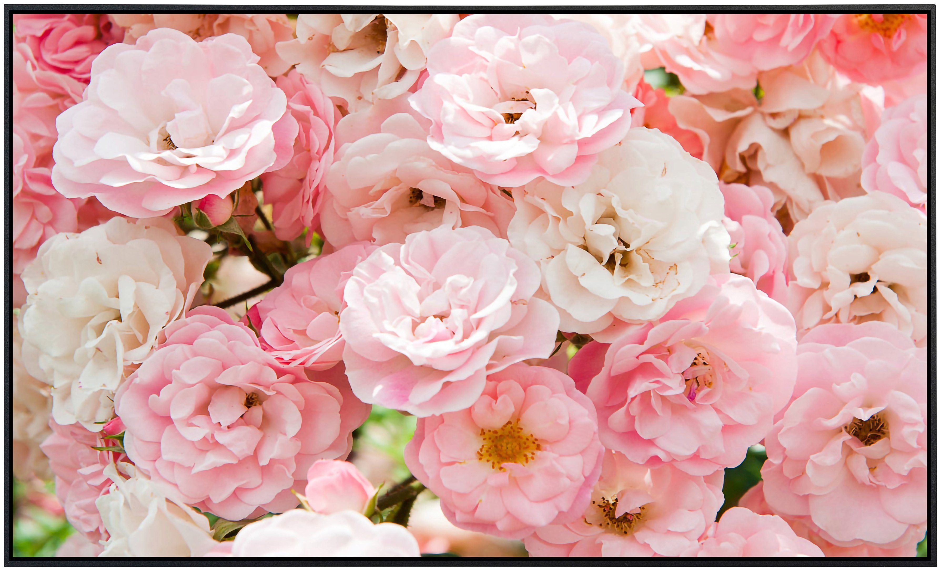 Papermoon Infraroodverwarming Roze rozen zeer aangename stralingswarmte
