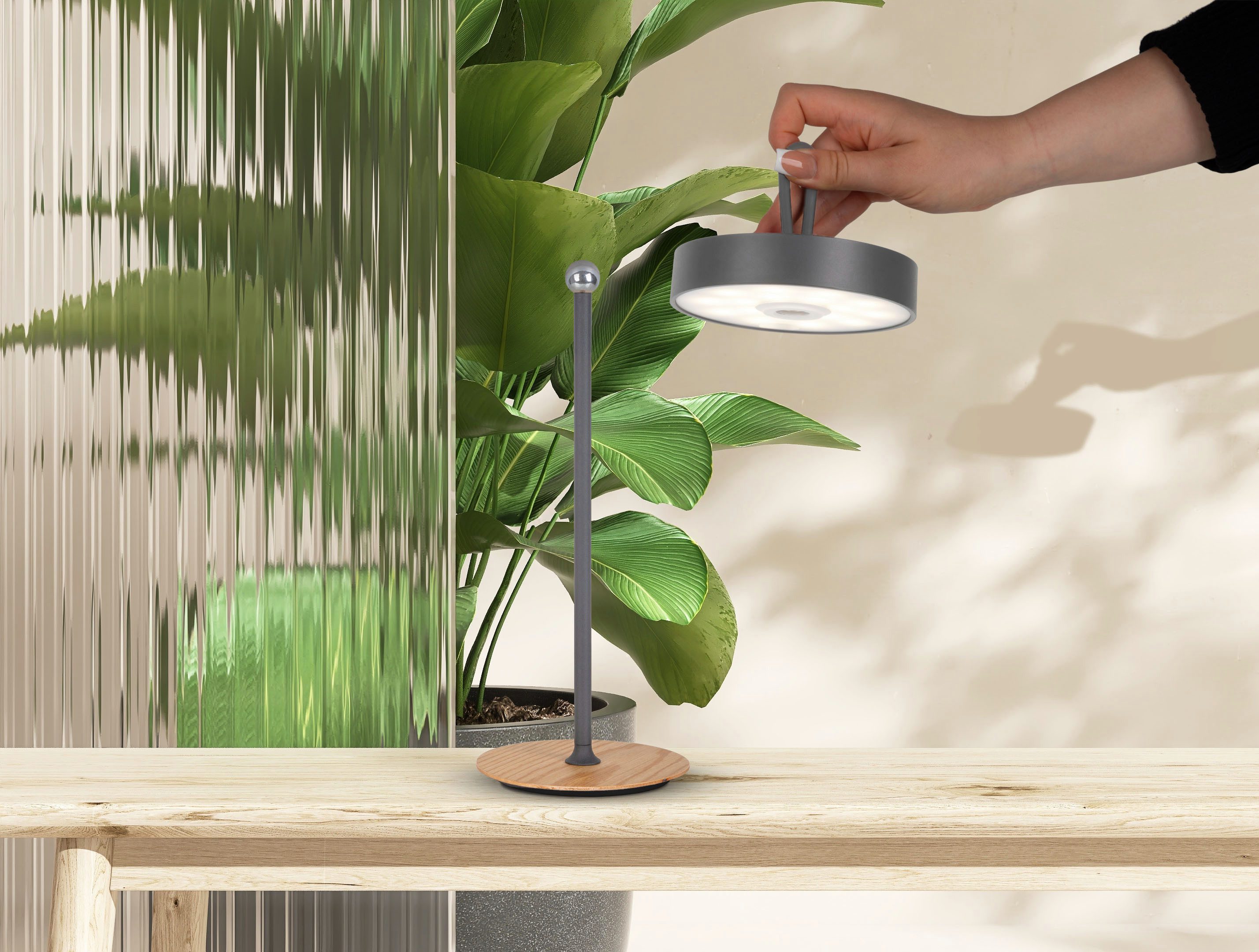 Home affaire Led-tafellamp Charmont met houten voet, afneembare hoofdkant als hanglamp te gebruiken oplaadbaar, incl. accu + usb-kabel, hoofdeinde magnetisch, afneembaar, hout (1 stuk)