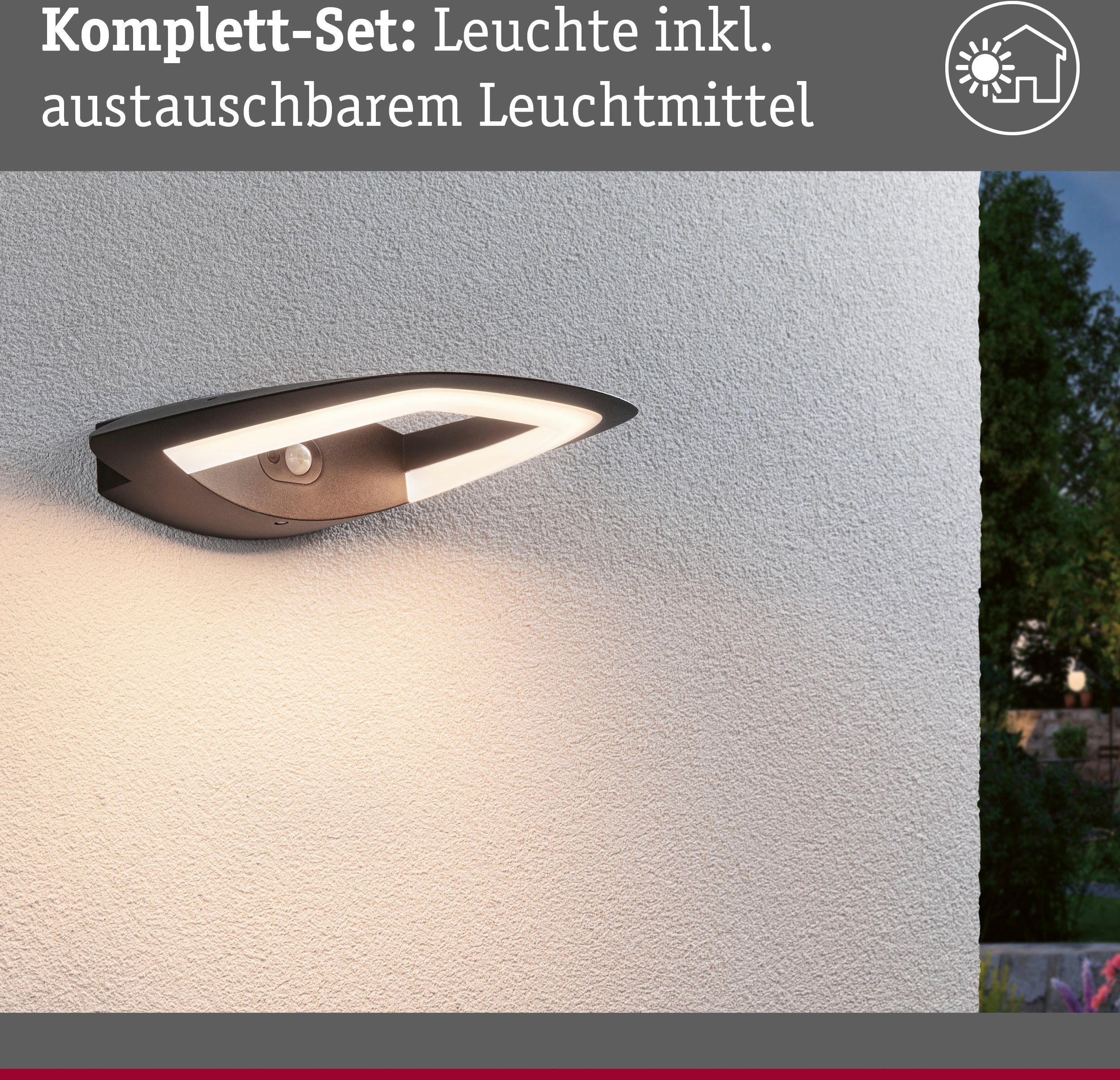 Paulmann Led-wandlamp voor buiten Buiten 230V Akena PIR Antraciet