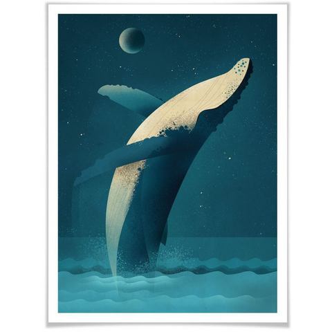 Wall-Art poster Humpback Whale