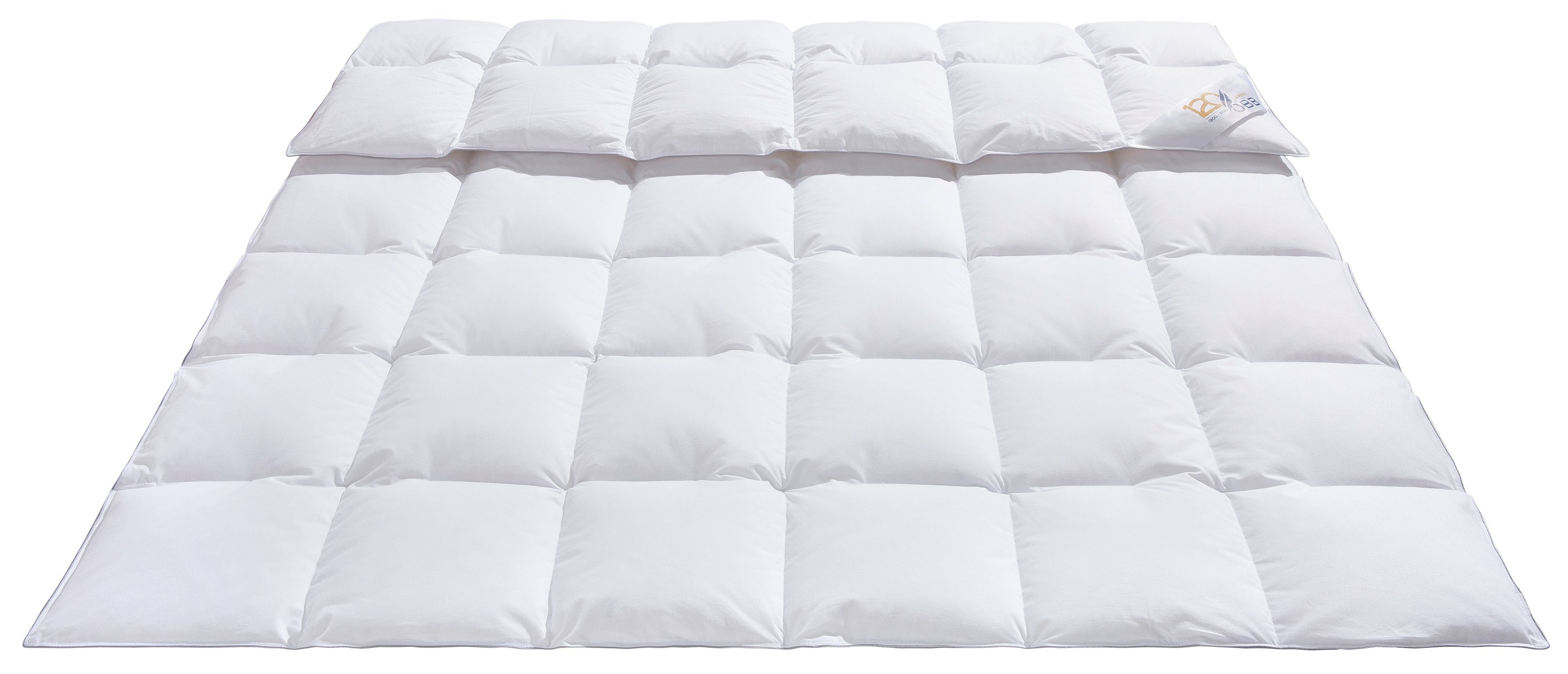 OBB Donzen dekbed + hoofdkussen Editie 120 jaar, dekbedset 2-delig, voor zomer of winter (voordeelset)