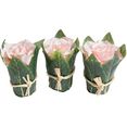 botanic-haus kunstbloem rosenarrangement mit blaettern umwickelt (set, 3 stuks) roze