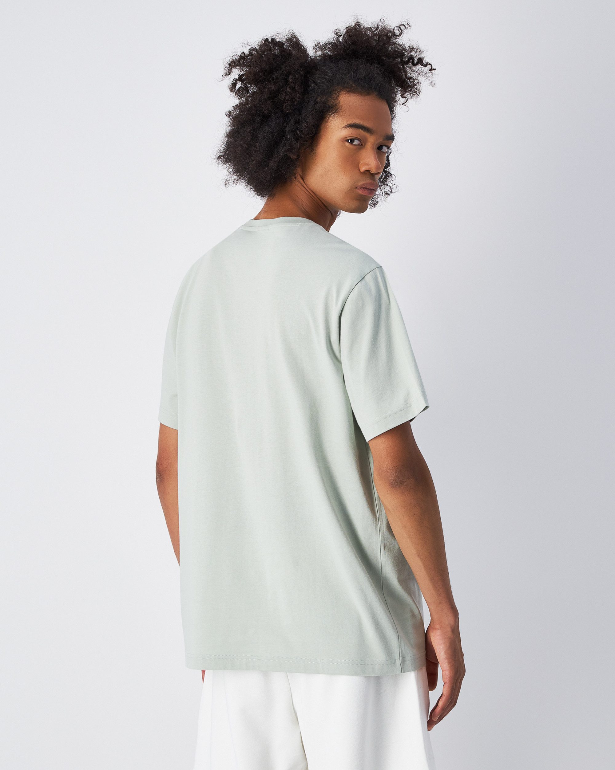 Champion T-shirt ICONS TONAL T-Shirt (1-delig)