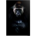 reinders! poster gorilla gorilla (1 stuk) zwart