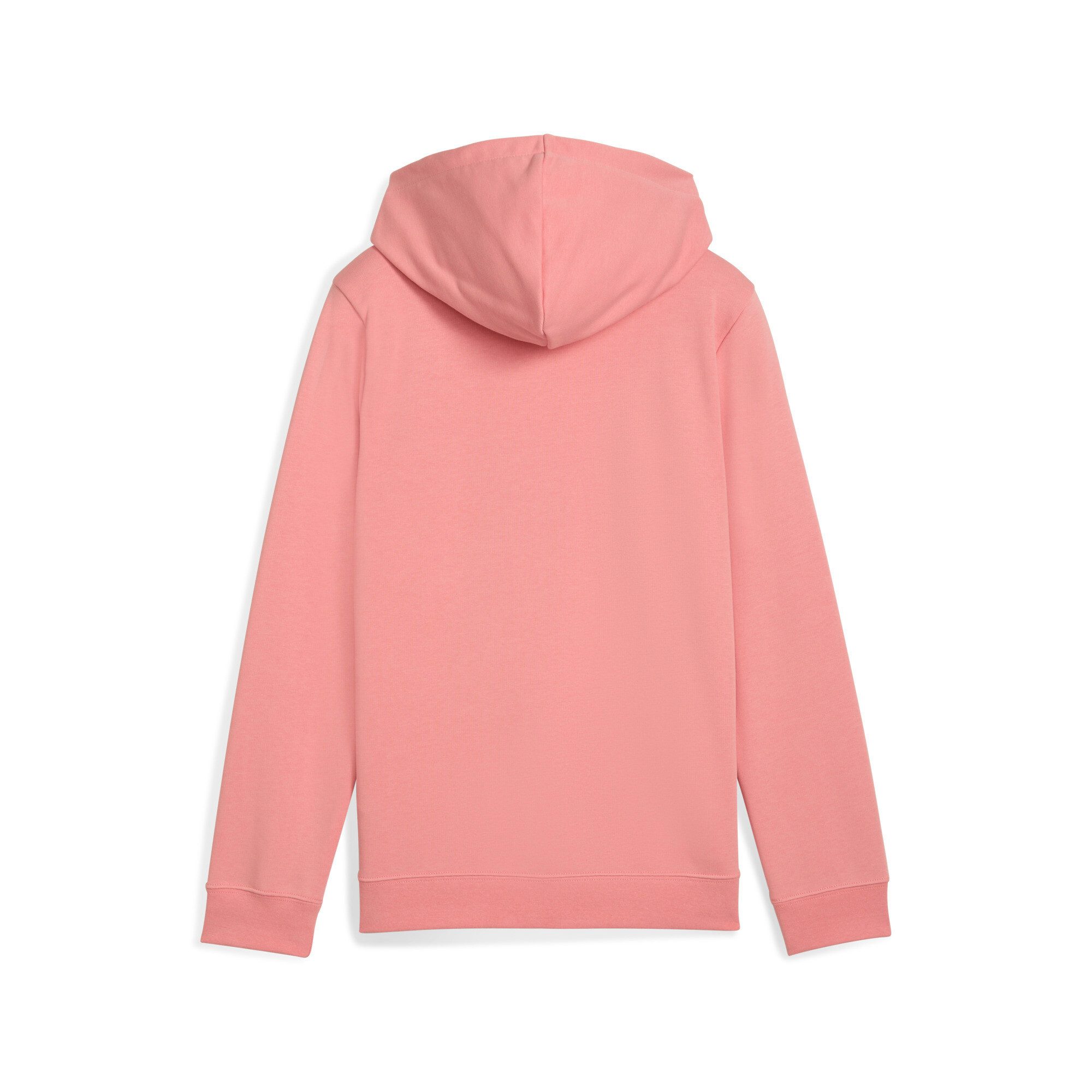 PUMA Hoodie ESS NO. 1 LOGO HOODIE TR G