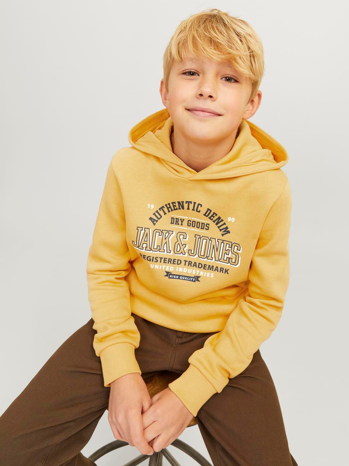 Jack & Jones Junior Hoodie JJELOGO SWEAT HOOD 2 COL 24 25 NOOS JNR