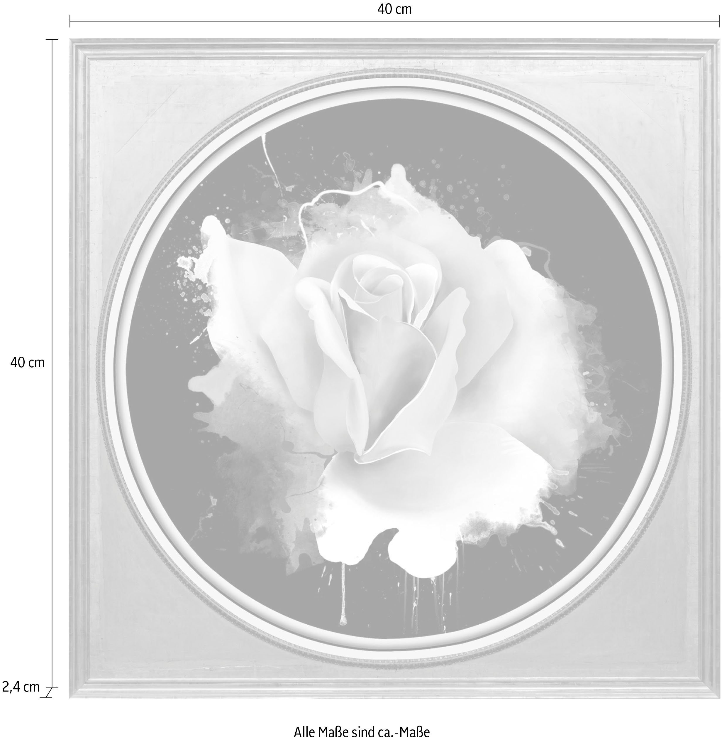 queence Artprint op acrylglas Rosé Fine Art-print in galeriekwaliteit