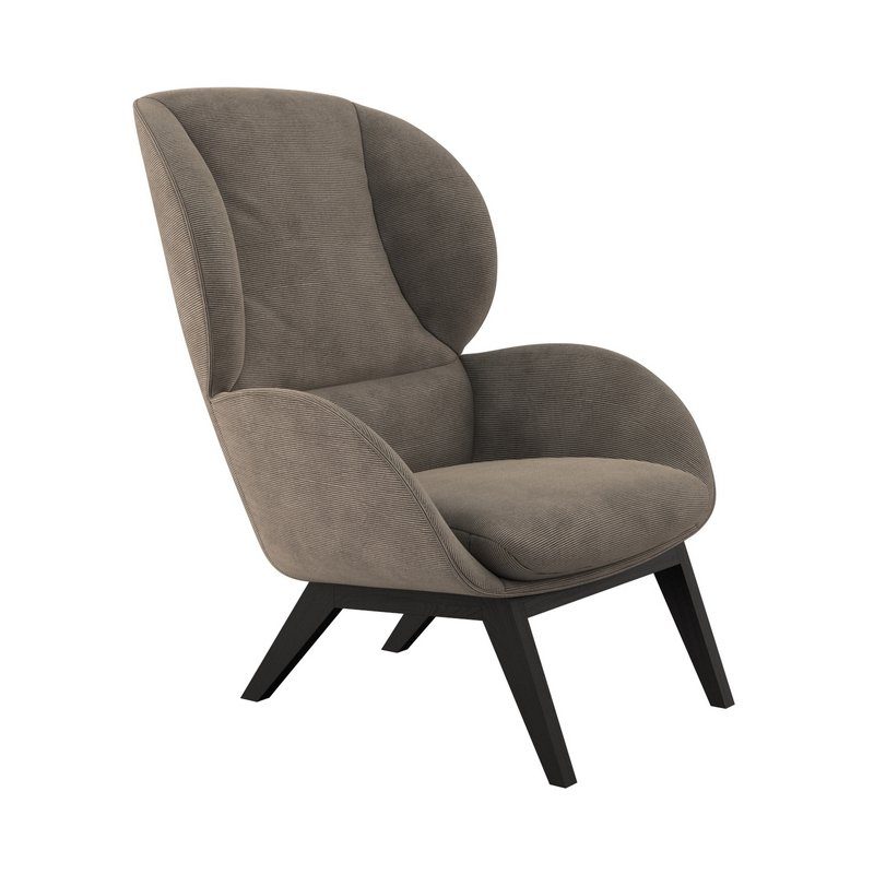 FLEXLUX Oorfauteuil Adria designstoel, loungestoel, Stijl & comfort, organische vorm, zwarte houten voet