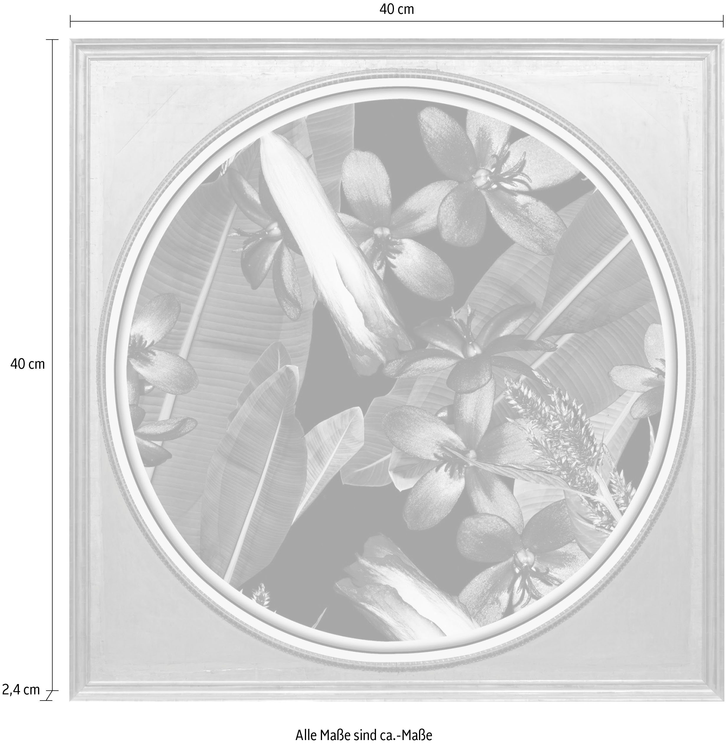 queence Artprint op acrylglas Bloemen Fine Art-print in galeriekwaliteit