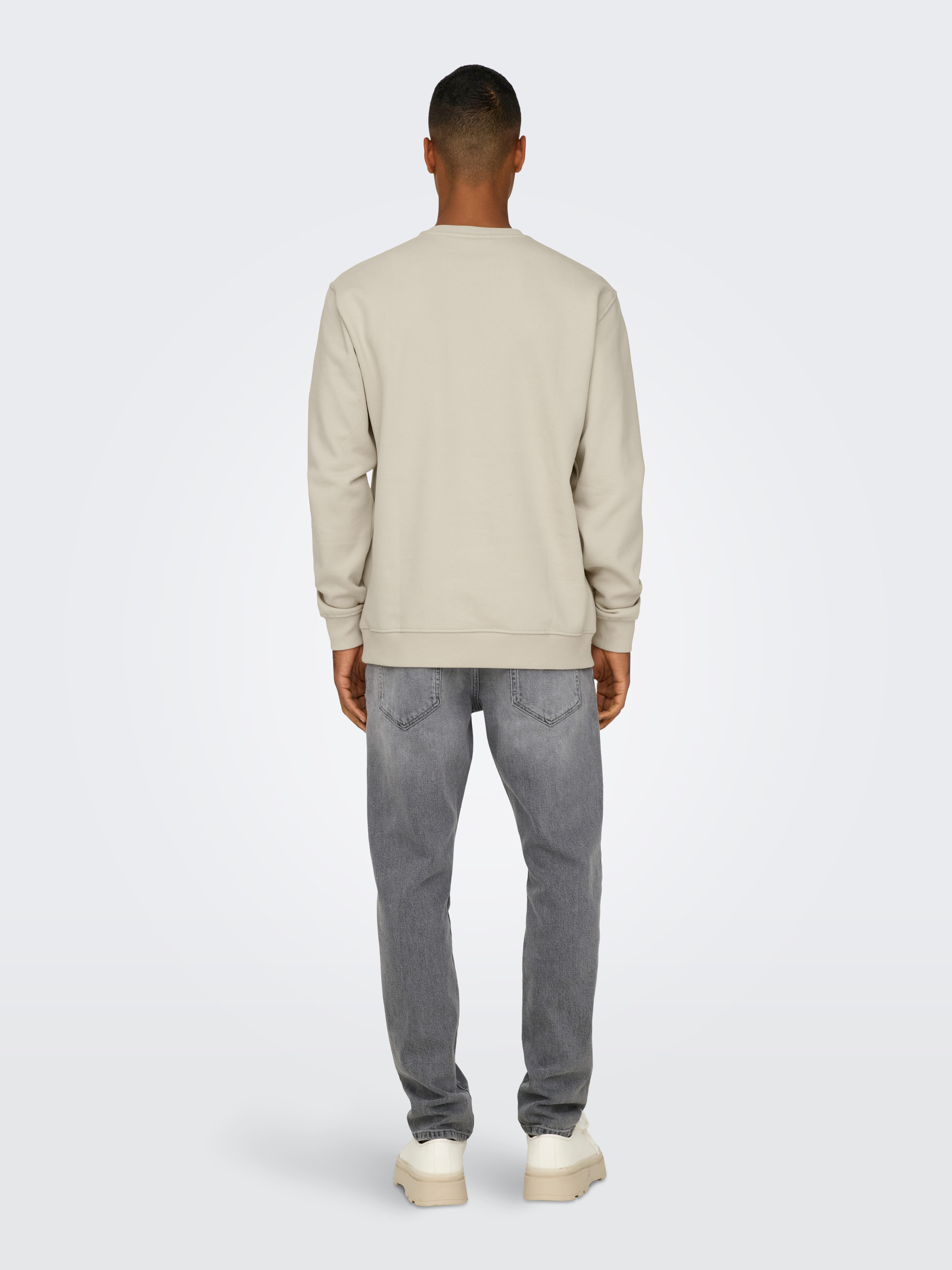 ONLY & SONS Sweatshirt ONSCURATED REG CREW NECK SWEAT