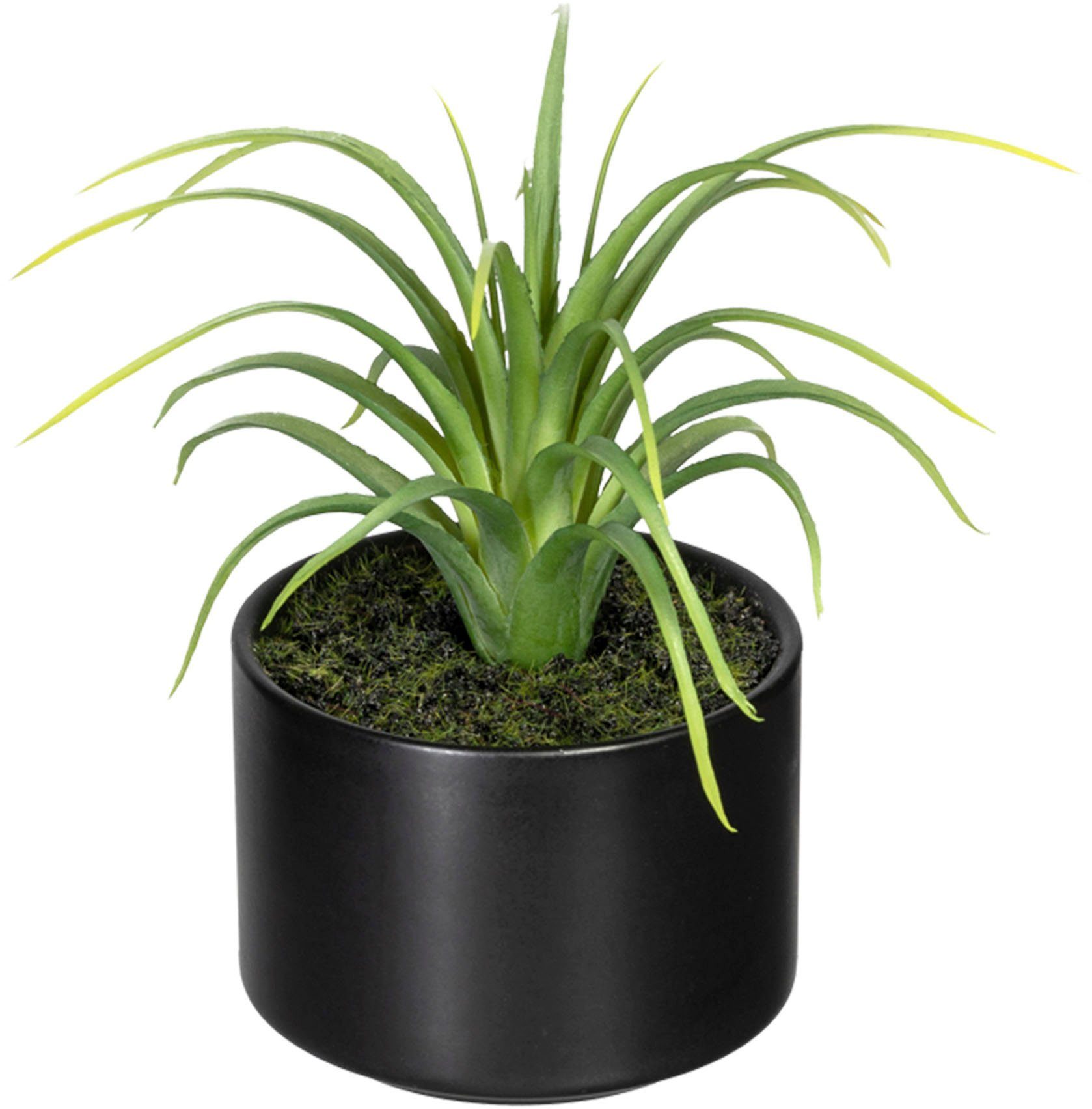 Creativ green Kunst-potplanten Set van aloë, agave en tillandsia (3 stuks)