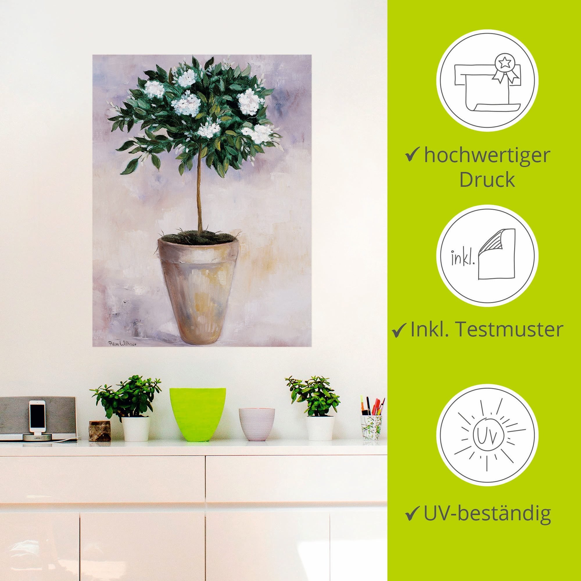 Artland Artprint Winter jasmijn als poster, muursticker in verschillende maten