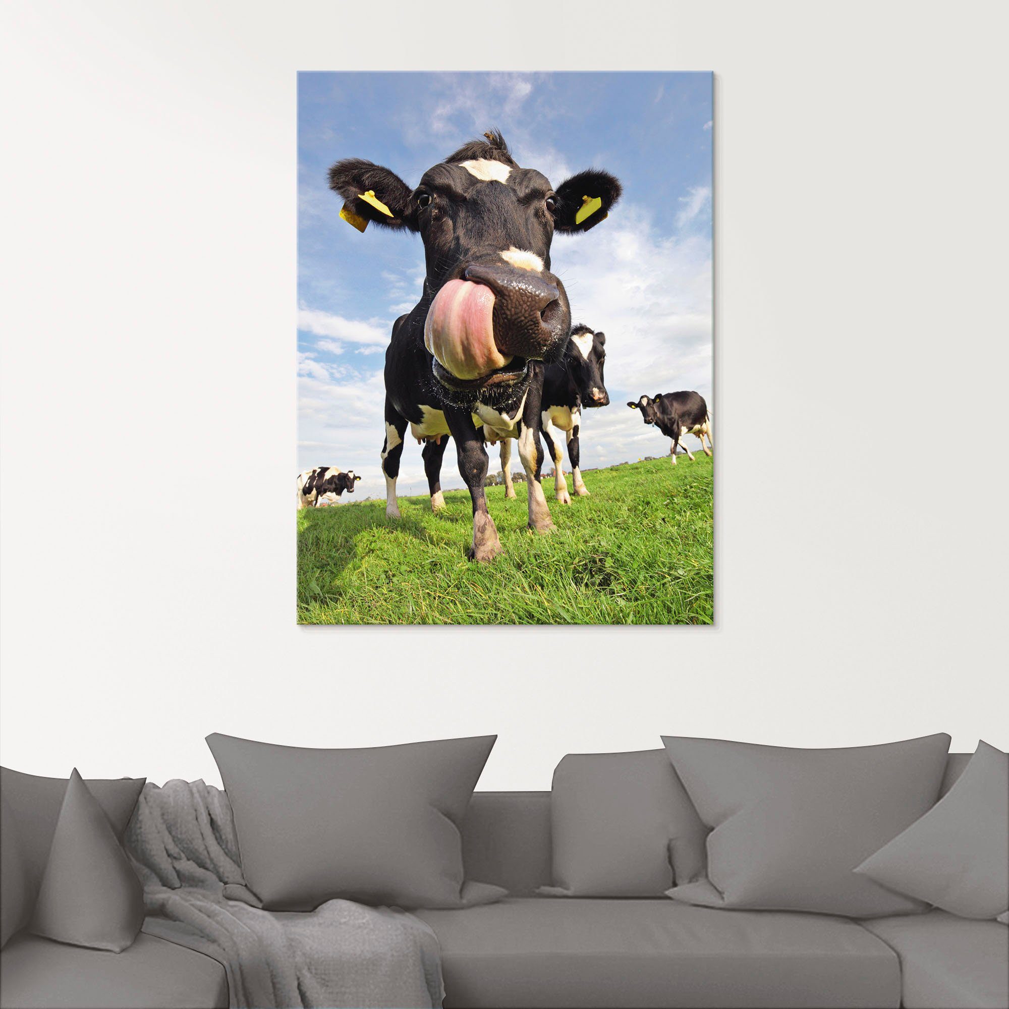 Artland Print op glas Holstein-koe met enorme tong