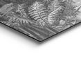 reinders! artprint palmen inscriptie regenwoud - varens - 19e eeuw - australi (1 stuk) zwart