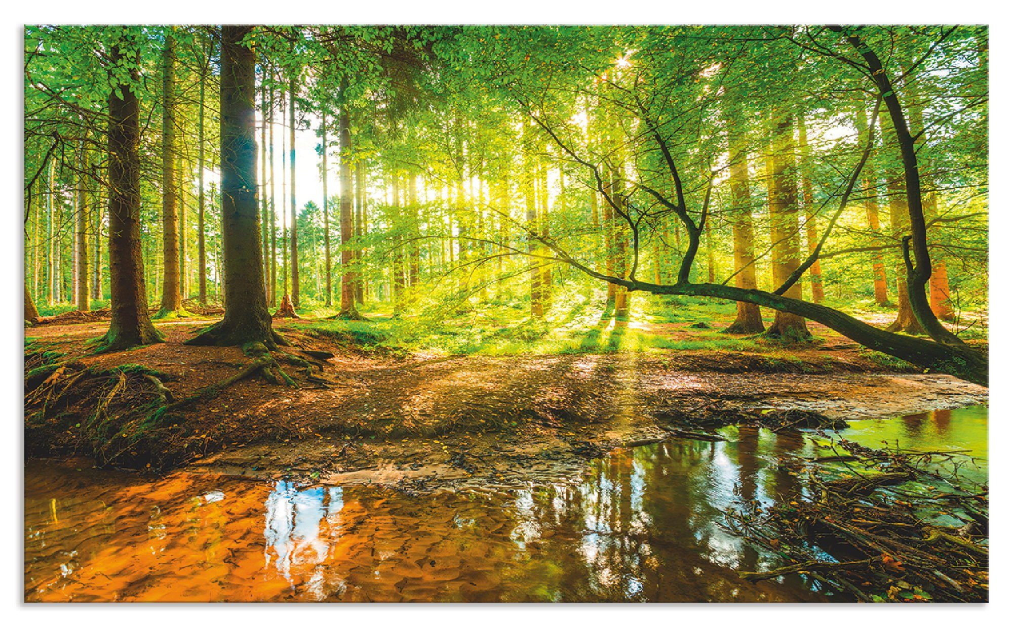 Artland Keukenwand Bos met beek zelfklevend in vele maten - spatscherm keuken achter kookplaat en spoelbak als wandbescherming tegen vet, water en vuil - achterwand, wandbekleding