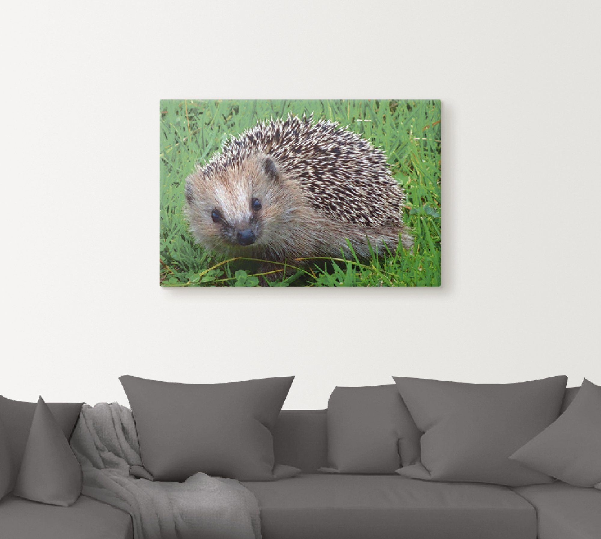 Artland Artprint op linnen Egel blik gespannen op een spieraam