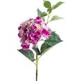 botanic-haus kunstbloem hortensia (1 stuk) roze