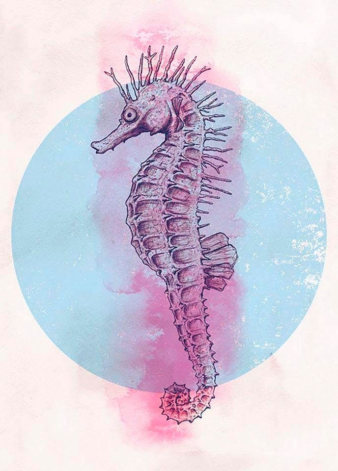 Komar Wanddecoratie Sea Horse Circle Wanddecoratie - zonder lijst (1 stuk)