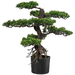 creativ green kunstbonsai bonsai groen