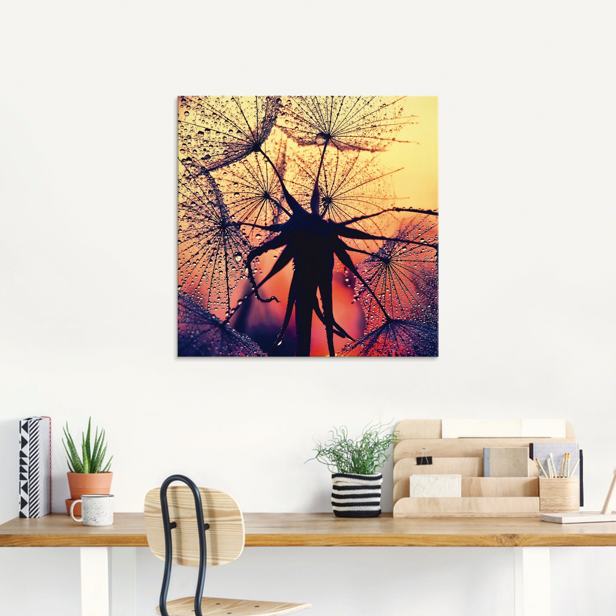 Artland Print op glas Pluizenbol bij zonsondergang