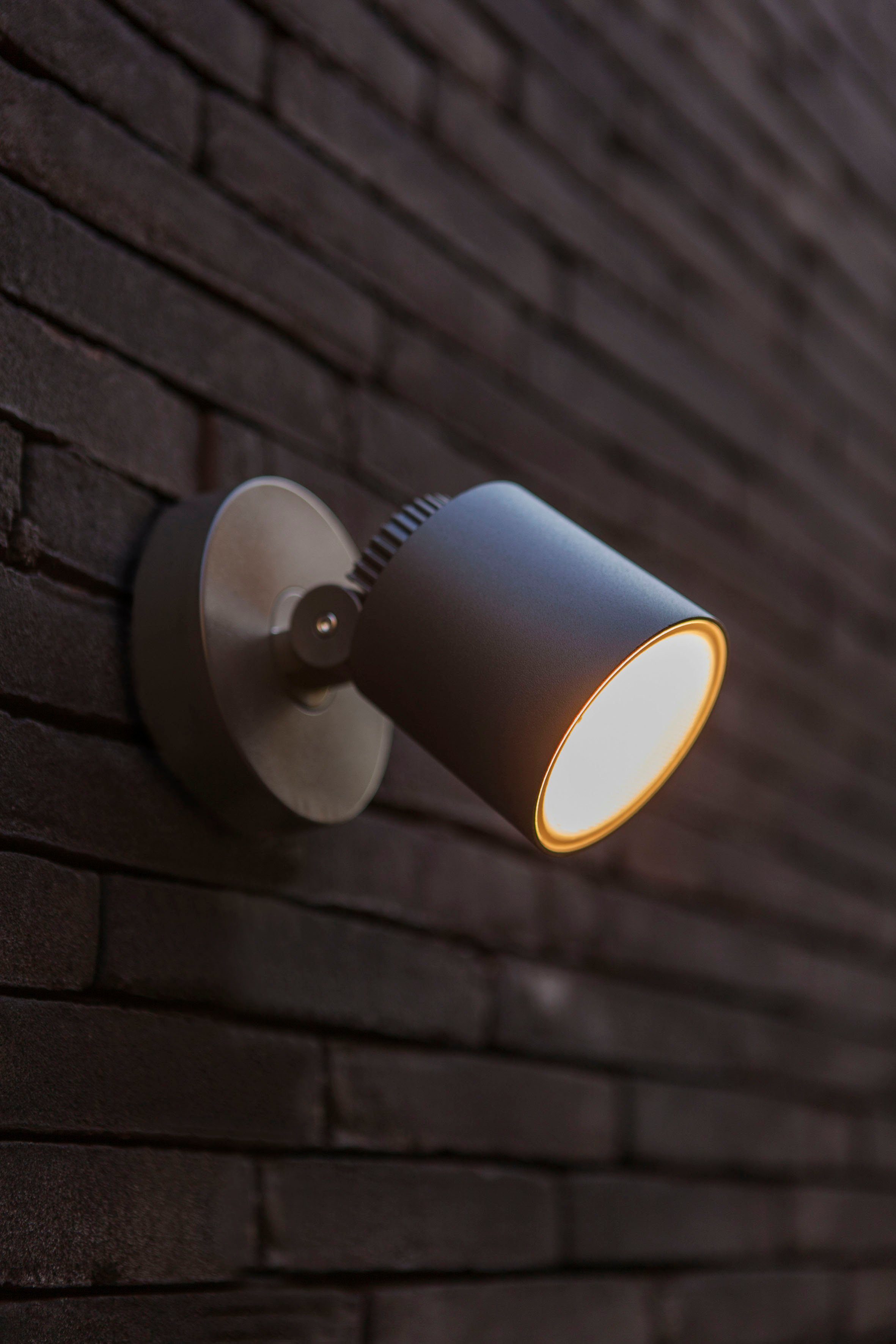LUTEC Ledwandlamp voor buiten Explorer (1 stuk)