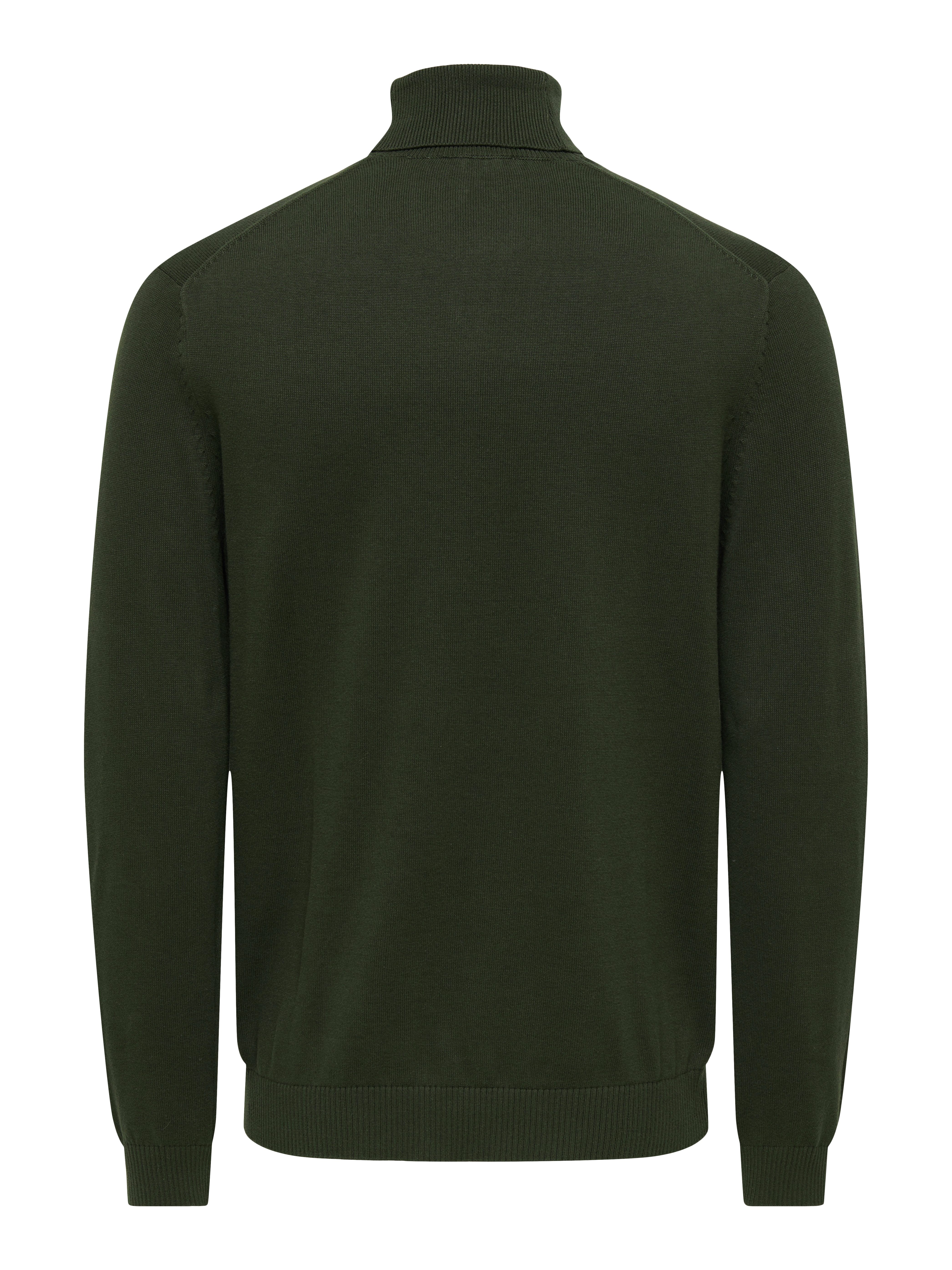 ONLY & SONS Coltrui ONSHOLGER REG ROLL NECK KNIT - OTL