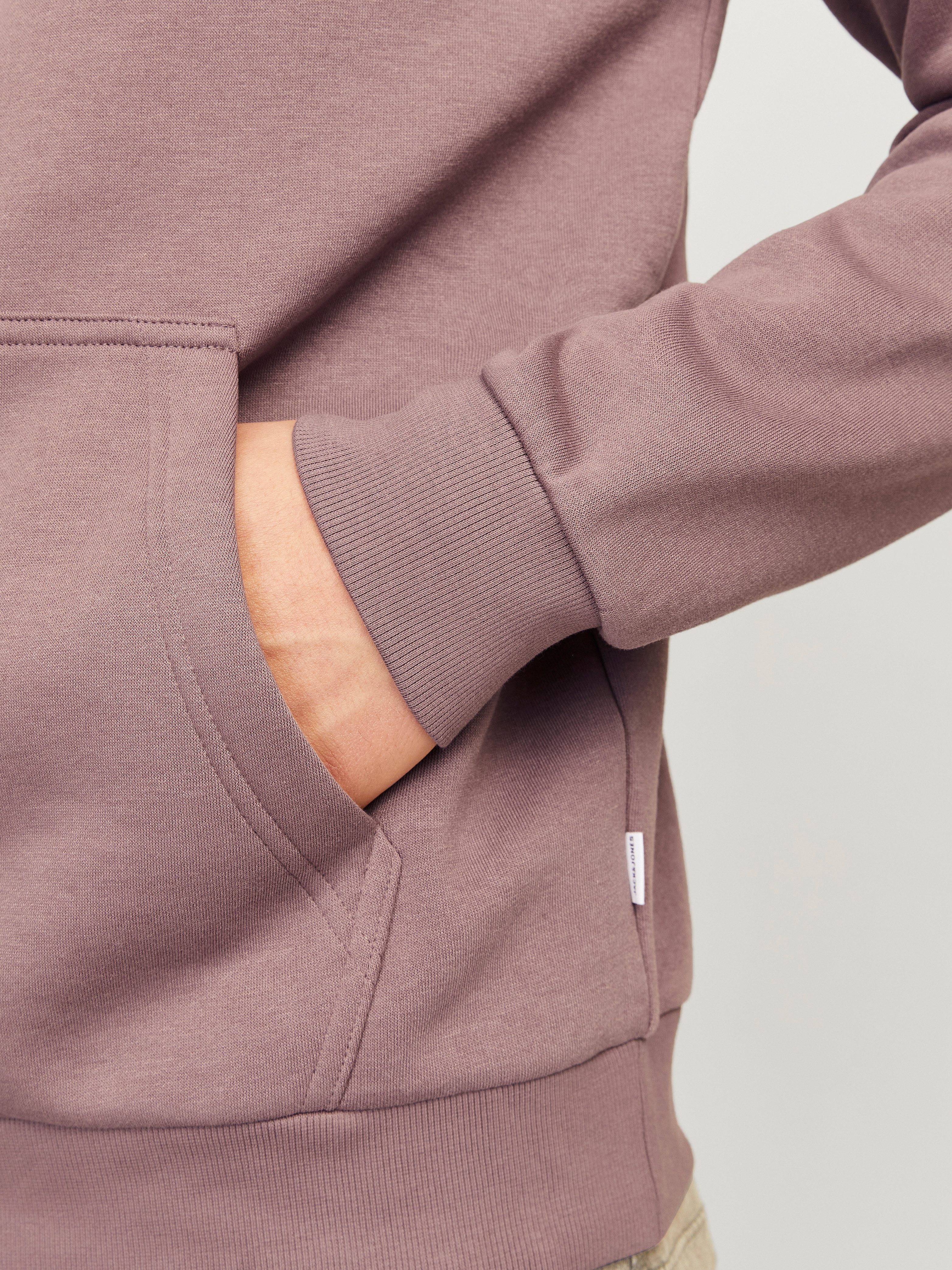 Jack & Jones Hoodie JJEBRADLEY SWEAT HOOD NOOS